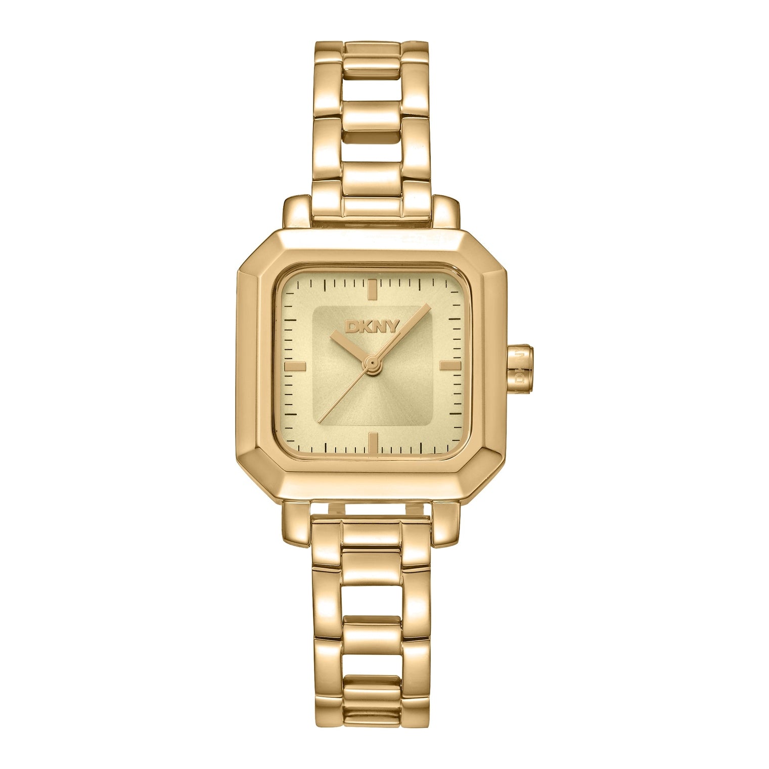 Ladies DKNY Watch (DK1L124M0035)