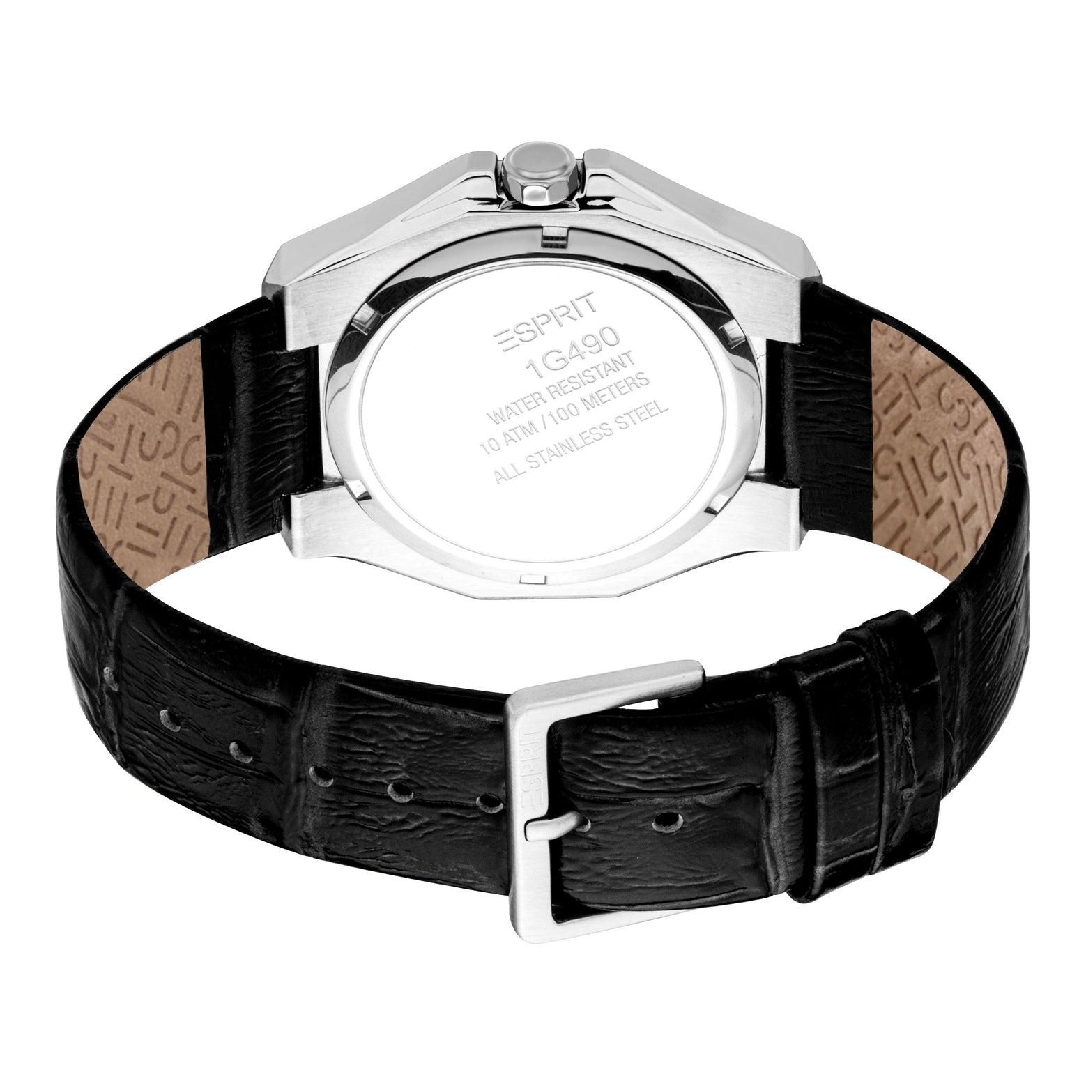 Men's Asher Watch (ES1G490L0015).