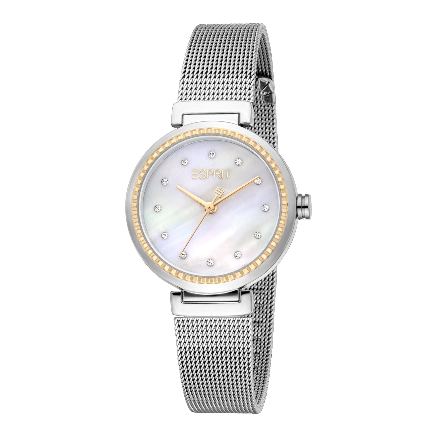 Ladies Leslie Mesh Watch (ES1L506M0245)