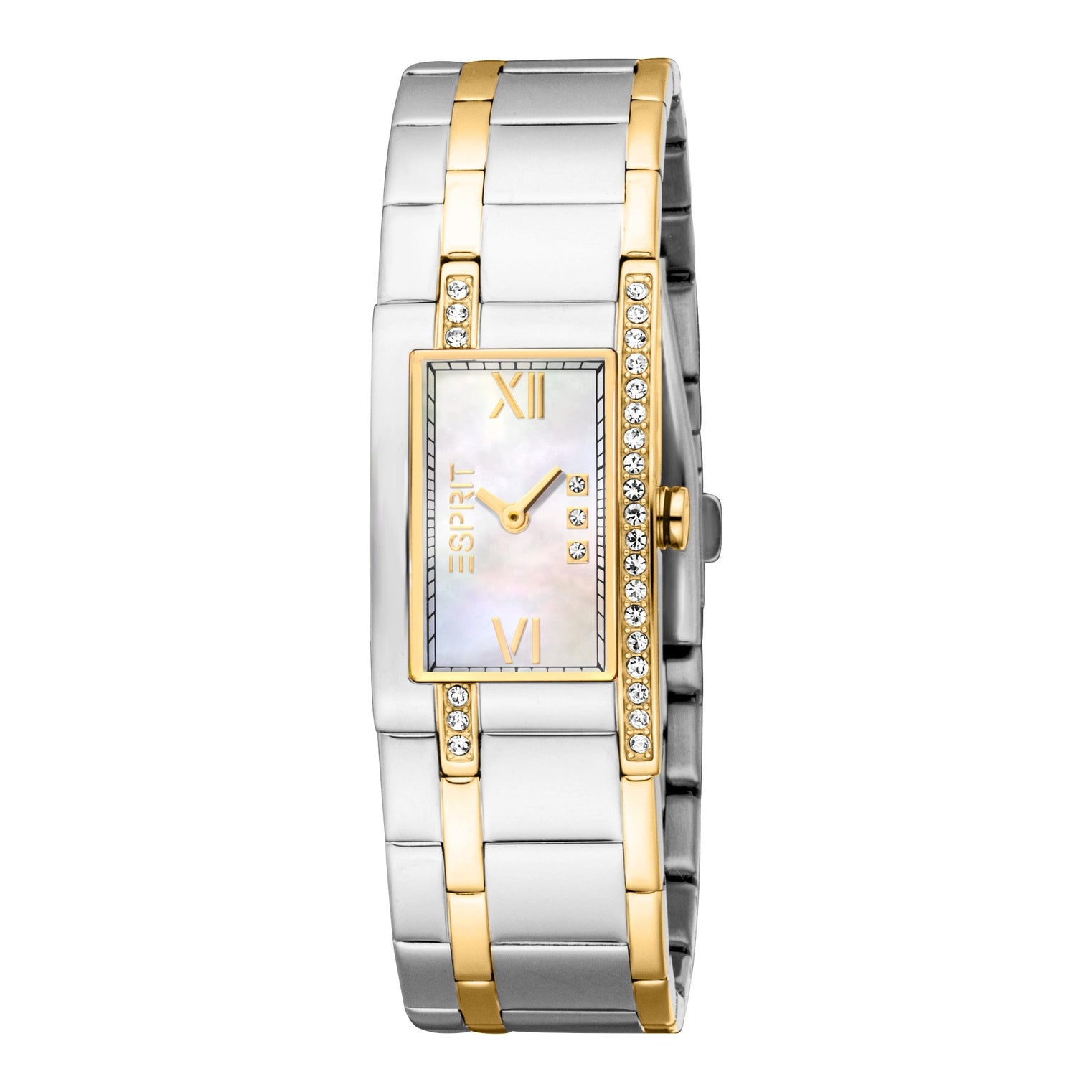 Ladies Houston Glitter Watch (ES1L514M0045)
