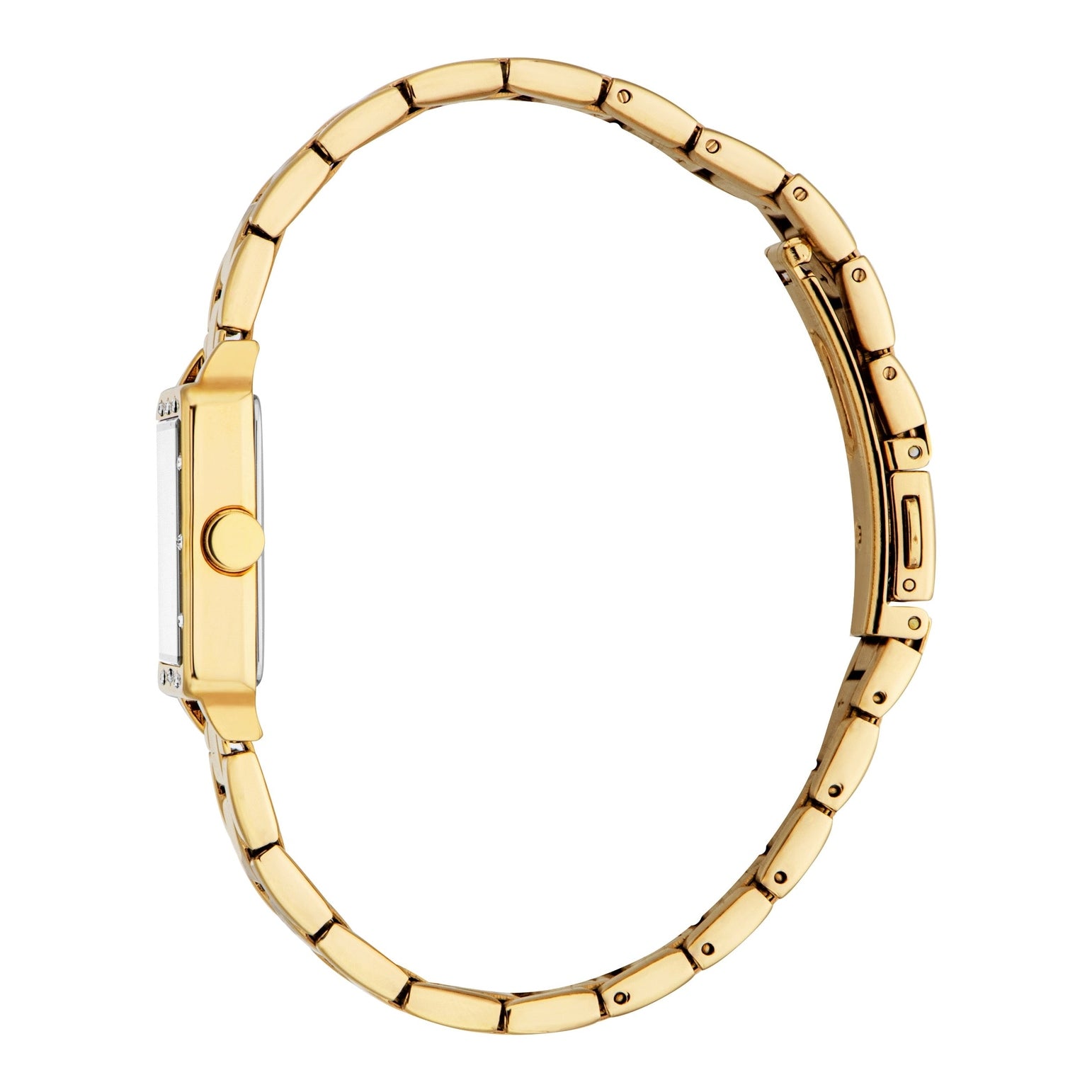 Ladies Raina Watch (ES1L550M0045)