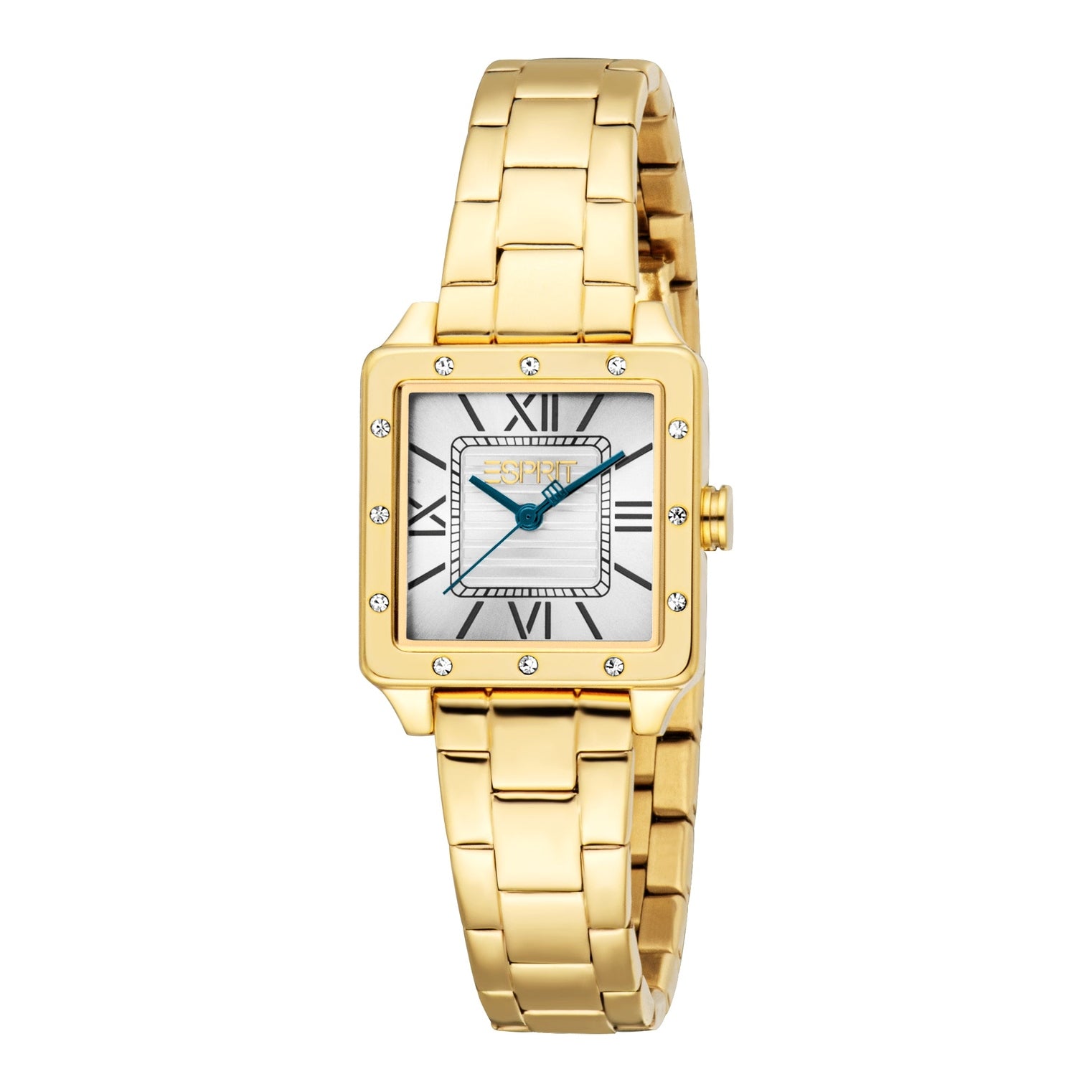 Ladies Raina Watch (ES1L550M0045)