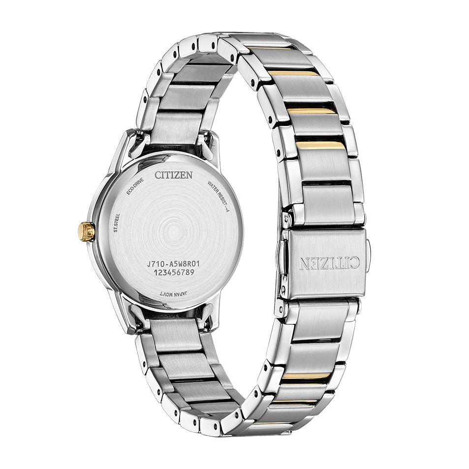 Ladies Eco-Drive Watch (FE1244-72A)