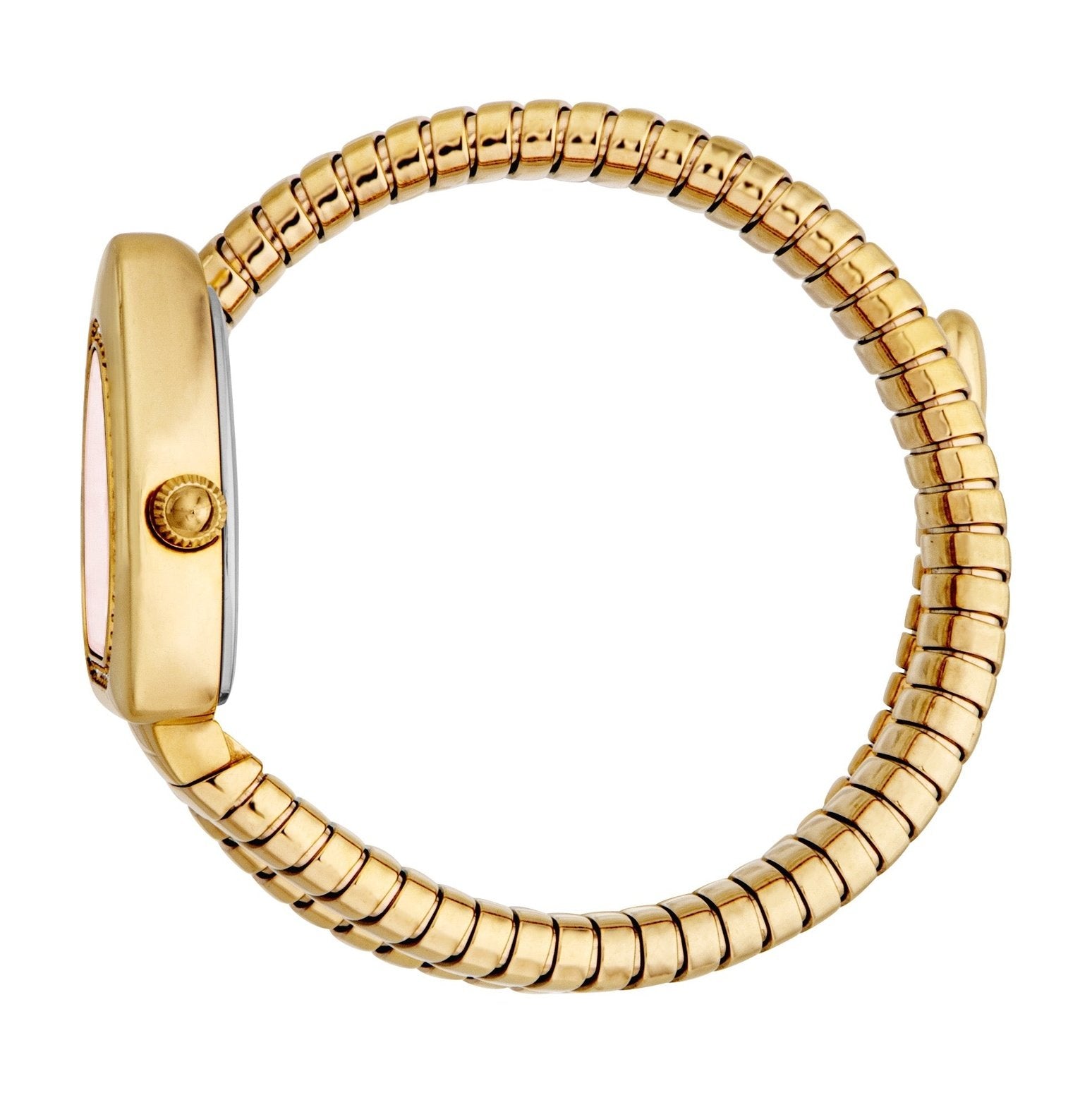 Ladies Analogue Watch (JC1L249M0025)