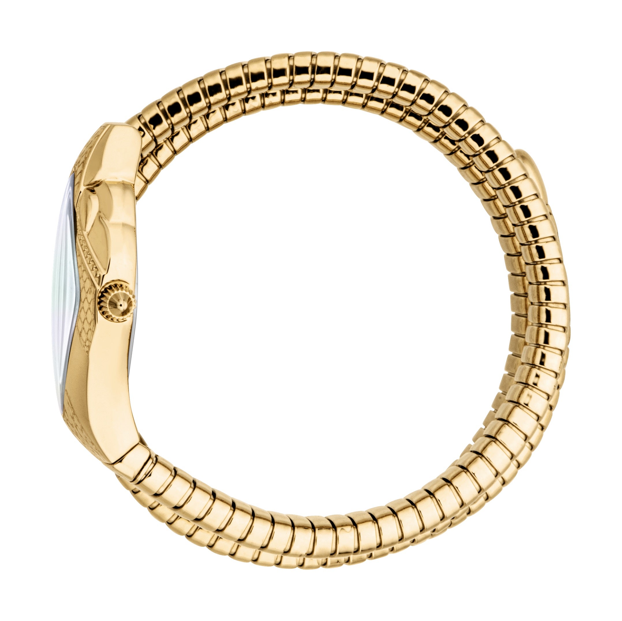 Ladies Cristallo Watch (JC1L307M0025)