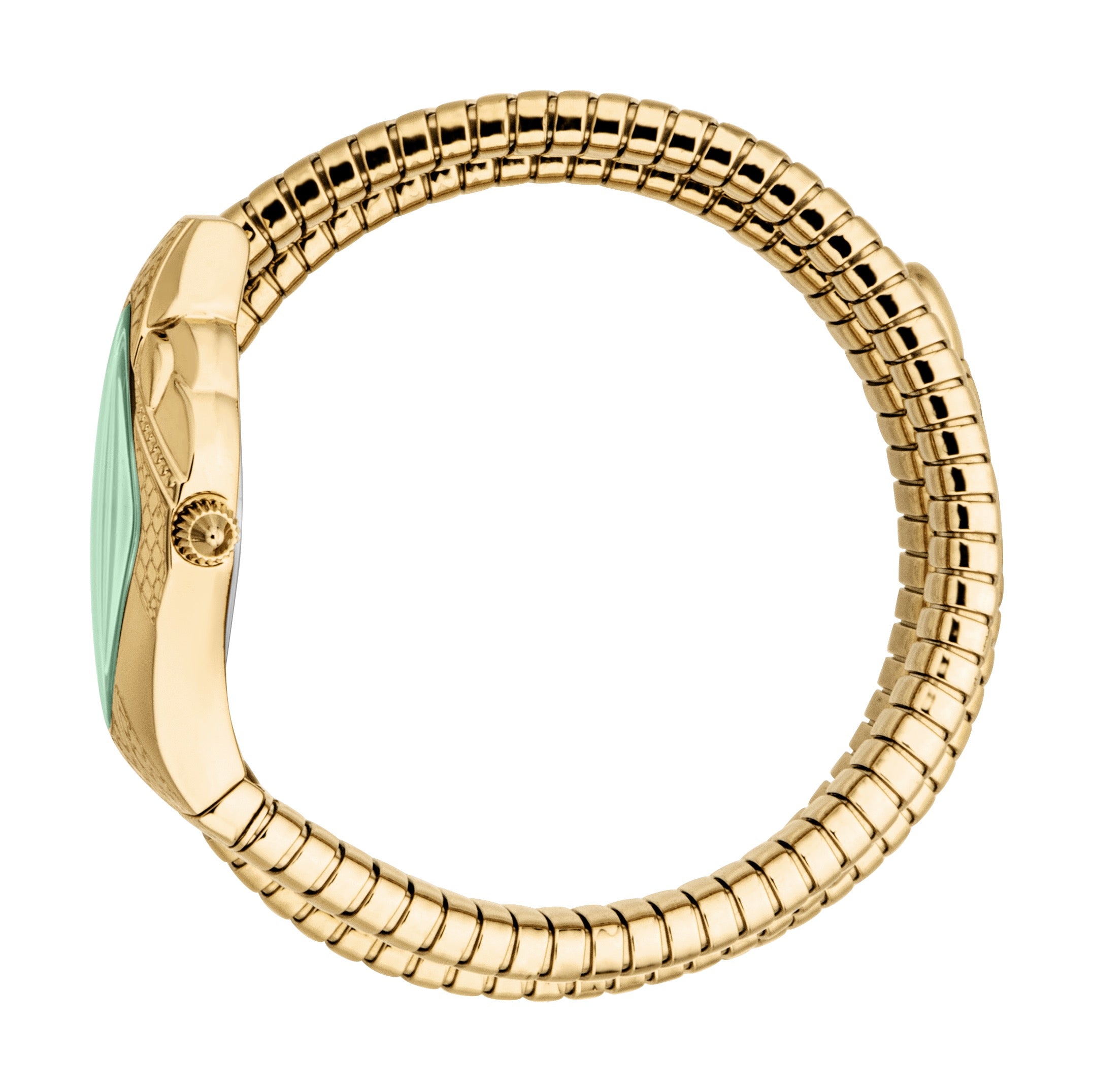 Ladies Cristallo Watch (JC1L307M0035)