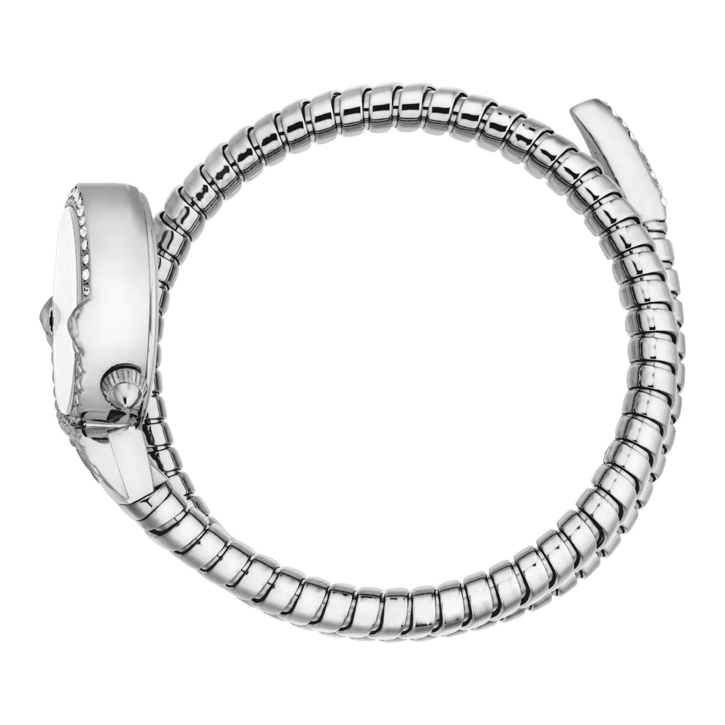 Ladies Radiosa Watch (JC1L350M0015)