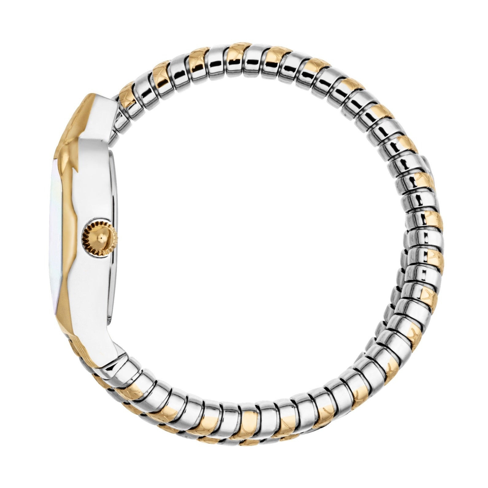 Ladies Aria Watch (JC1L369M0065)
