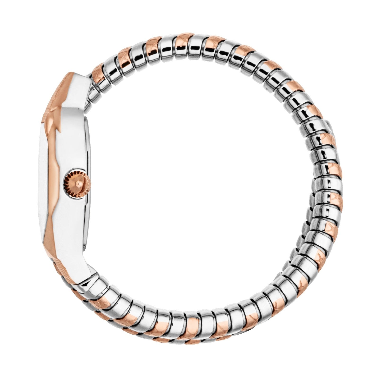 Ladies Aria Watch (JC1L369M0075)