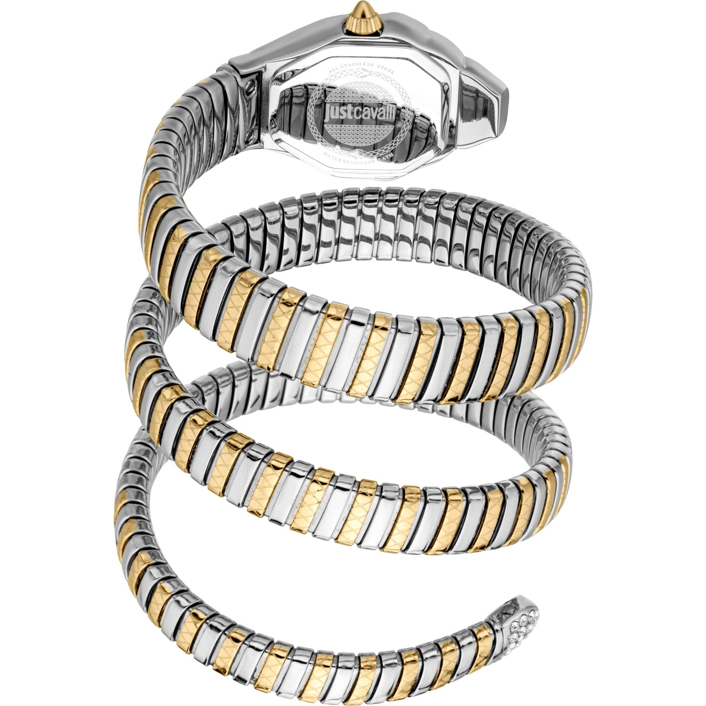 Ladies Ambra Watch (JC1L370M0055)