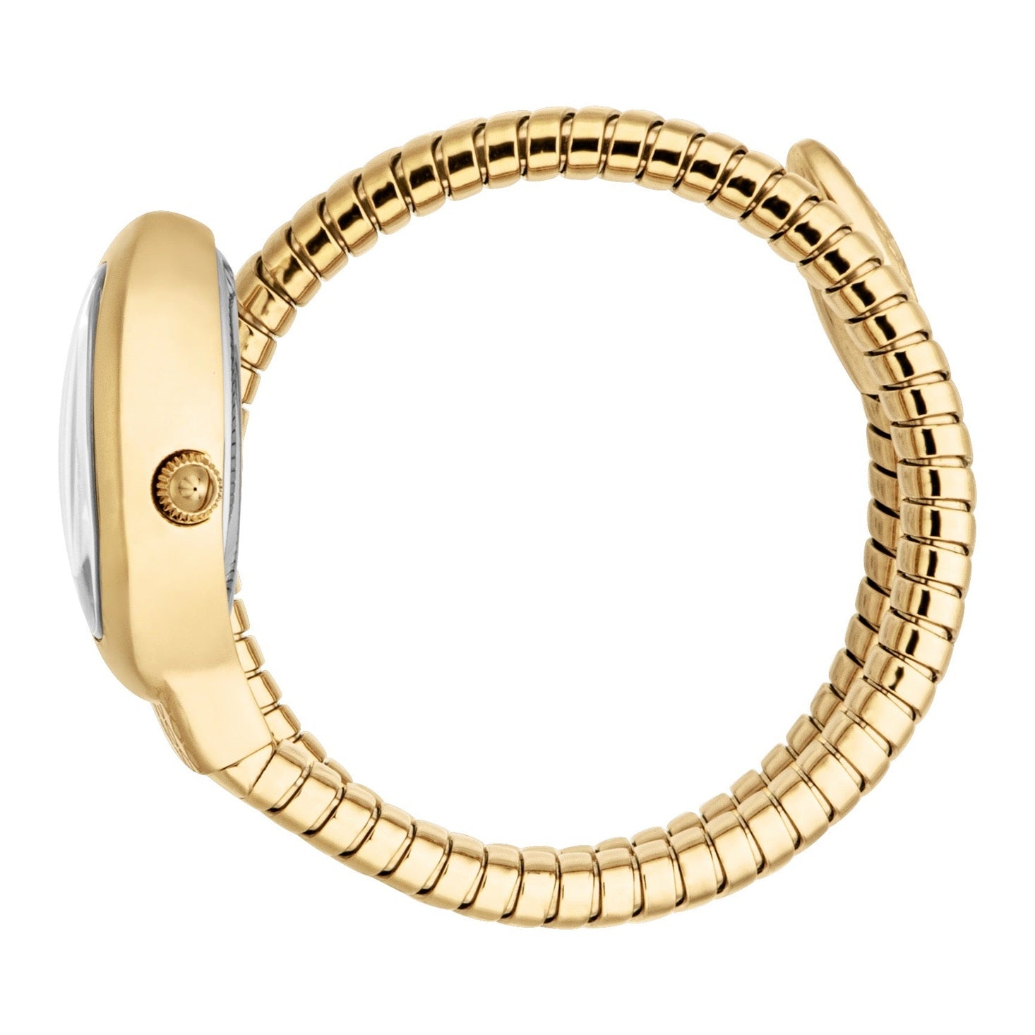 Ladies Eclisse Watch (JC1L371M0025)