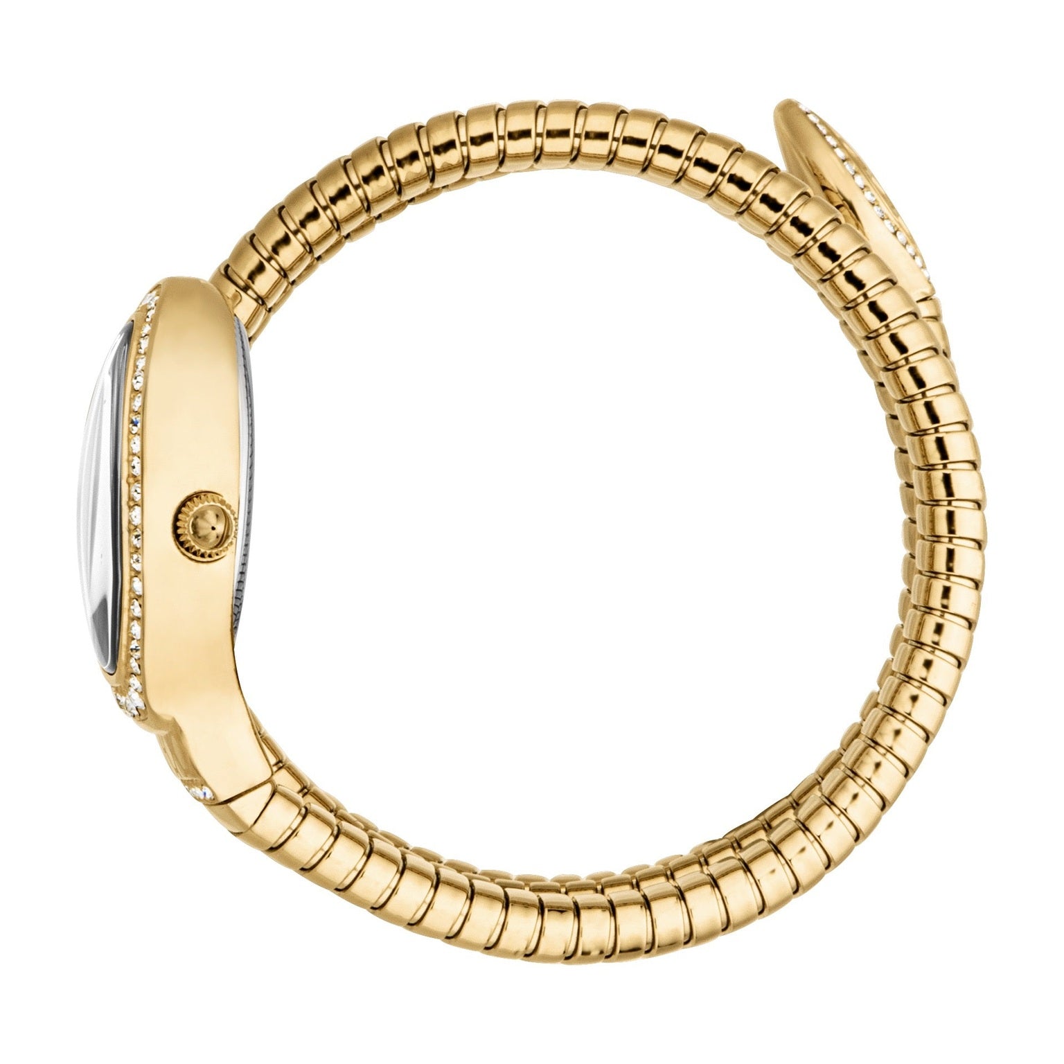 Ladies Carezza Watch (JC1L372M0025)