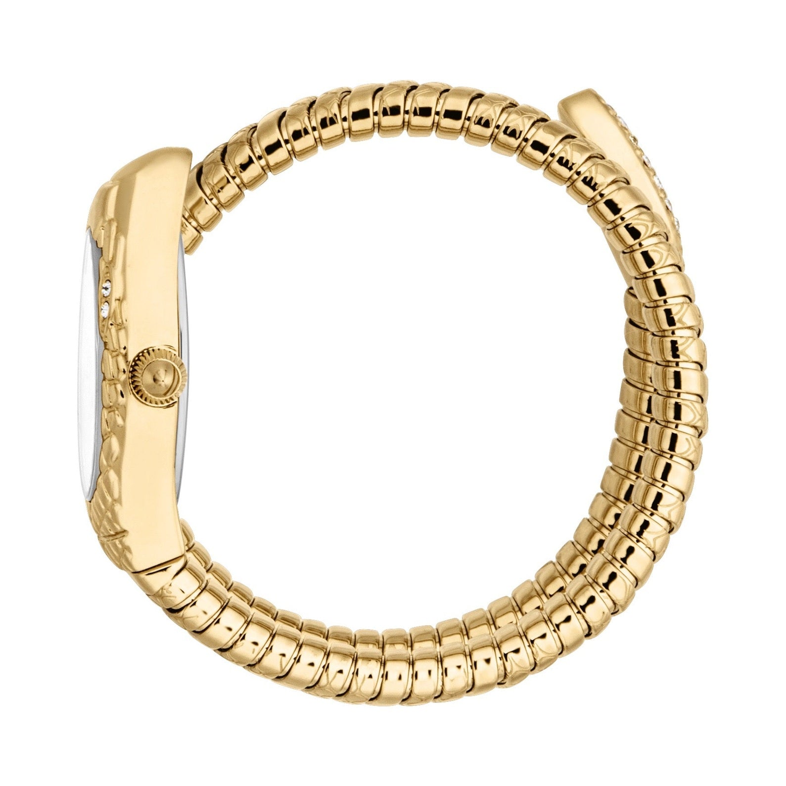 Ladies Vetra Watch (JC1L373M0025)