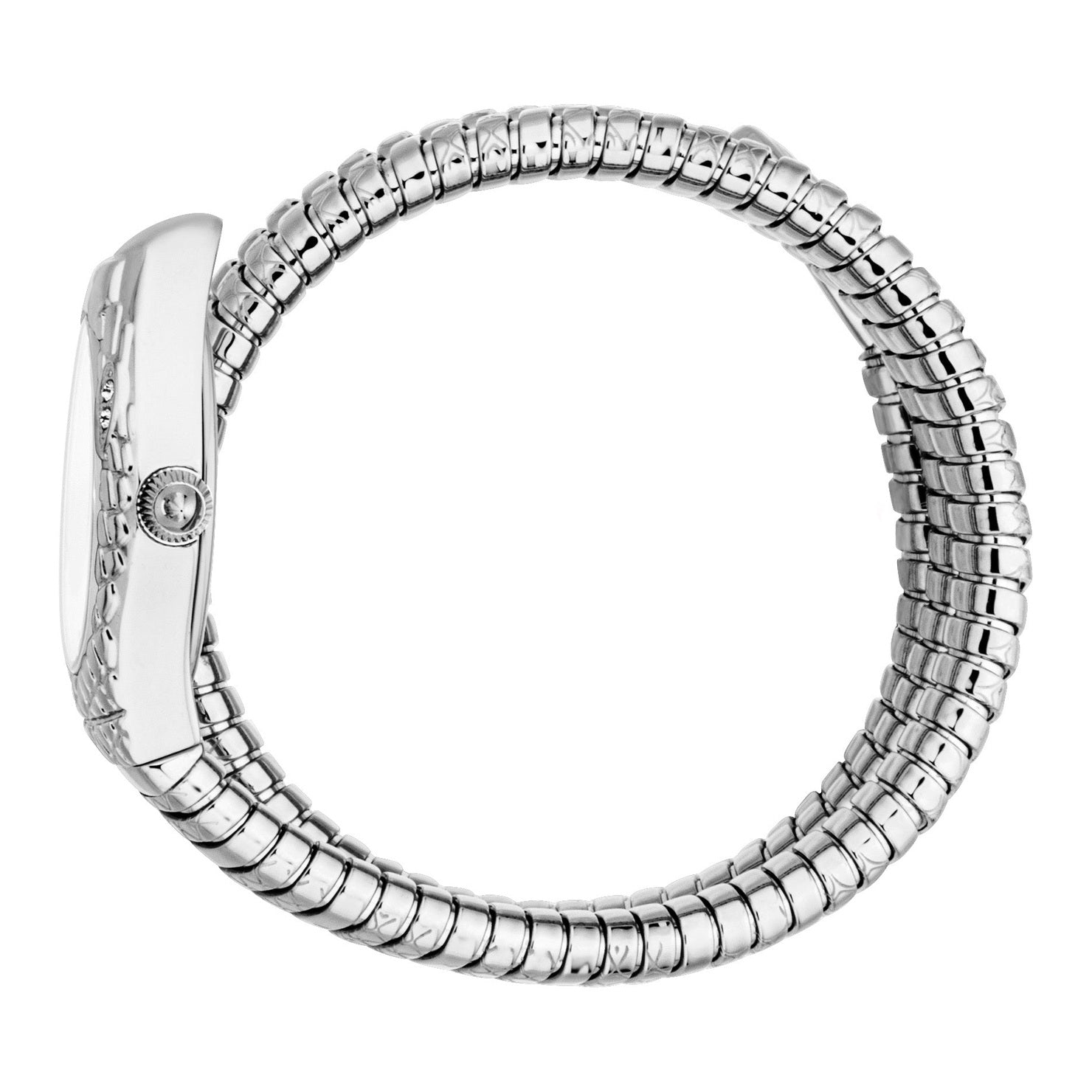 Ladies Aurela Watch (JC1L374M0015)