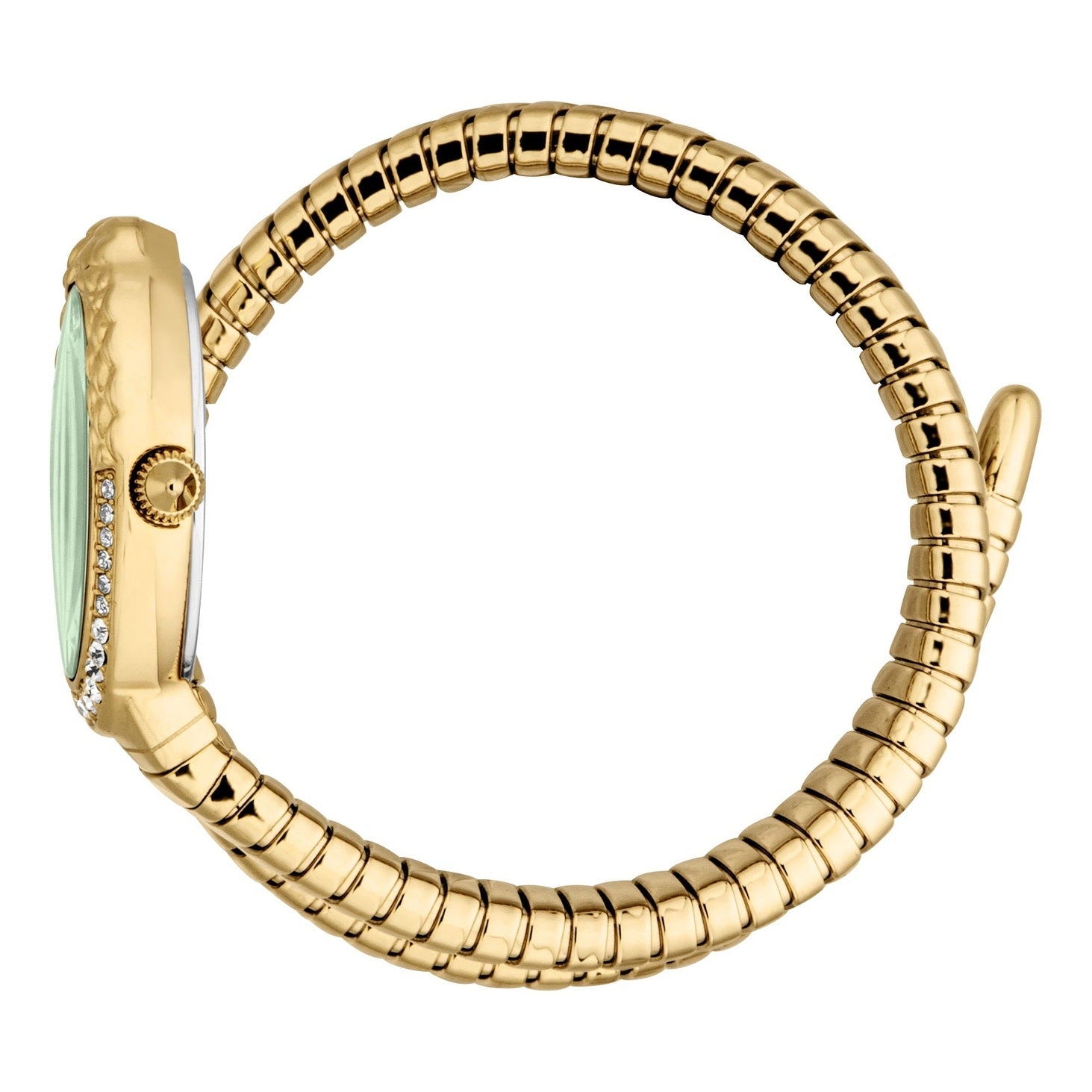 Ladies Fiore Watch (JC1L390M0035)