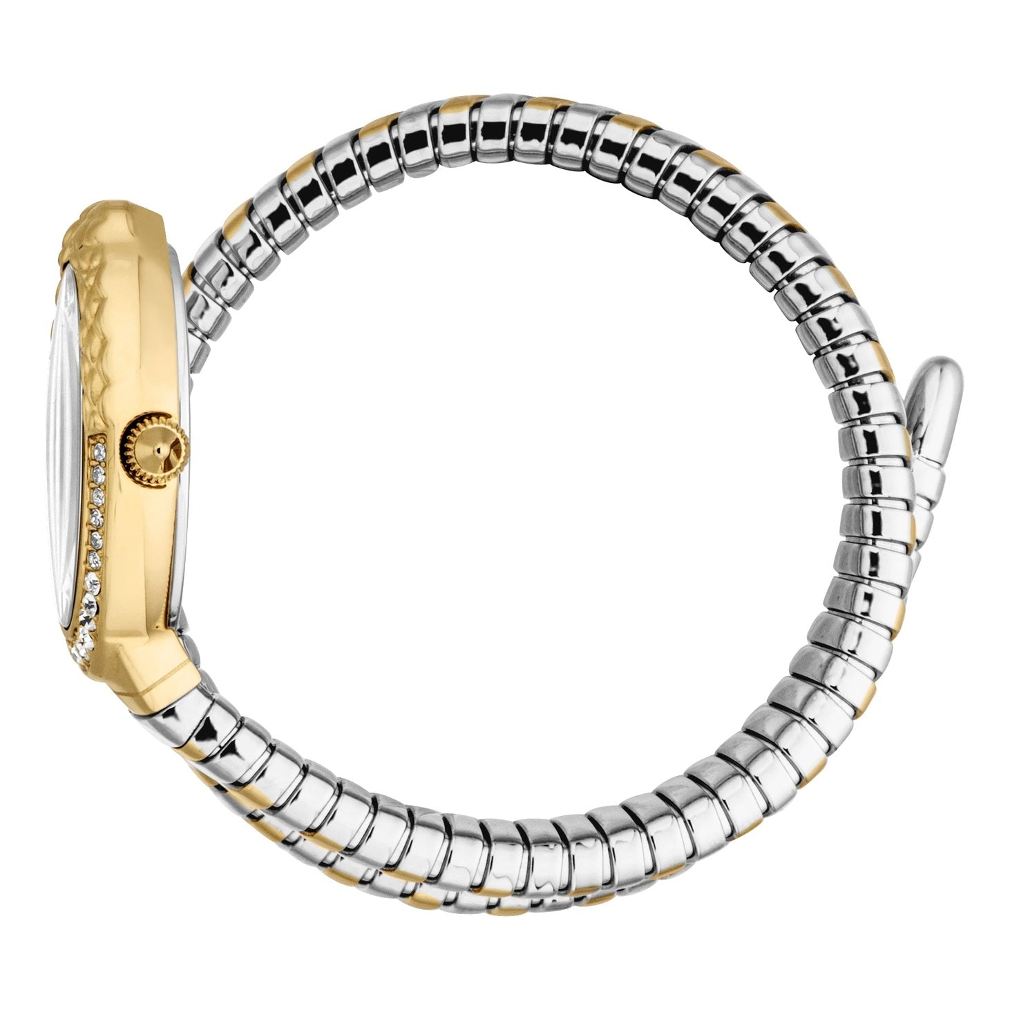 Ladies Fiore Watch (JC1L390M0055)