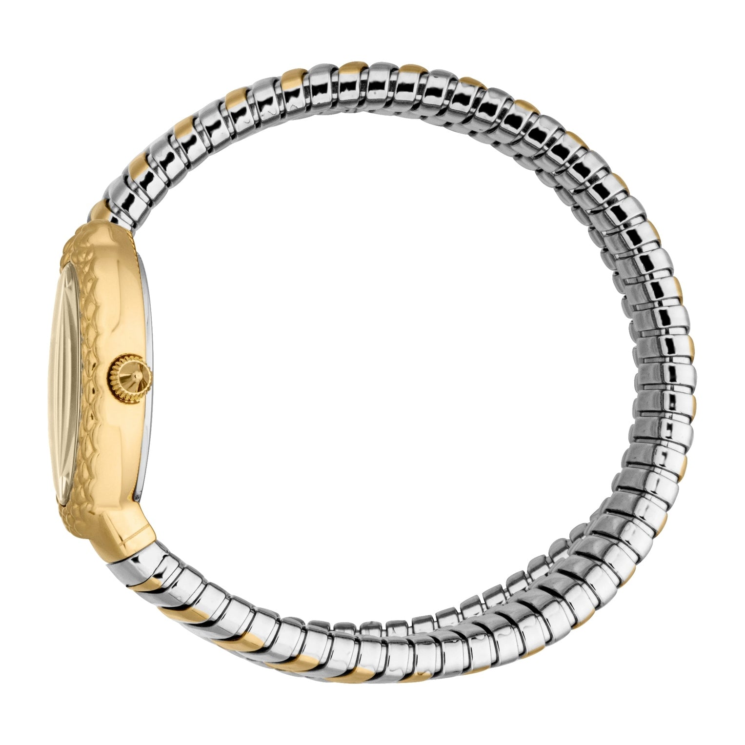 Ladies Sognia Watch (JC1L391M0045)