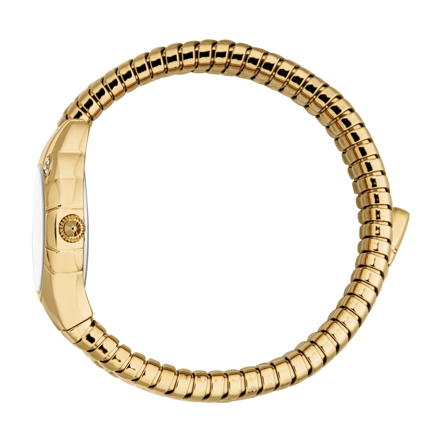 Ladies Amanta Watch (JC1L393M0025)