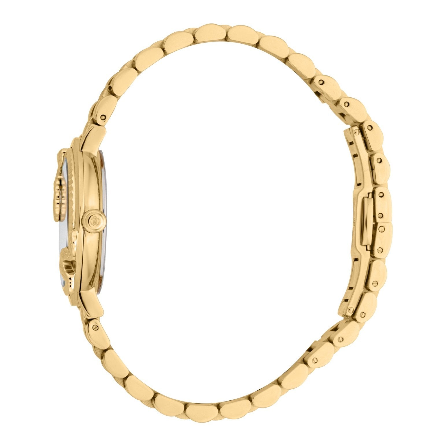 Ladies Sognare Watch (RC5L055M0025)