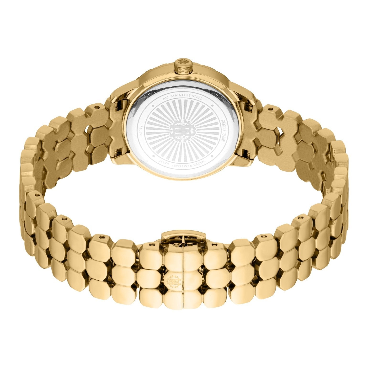Ladies Carattere Lei Watch (RC5L097M0025)