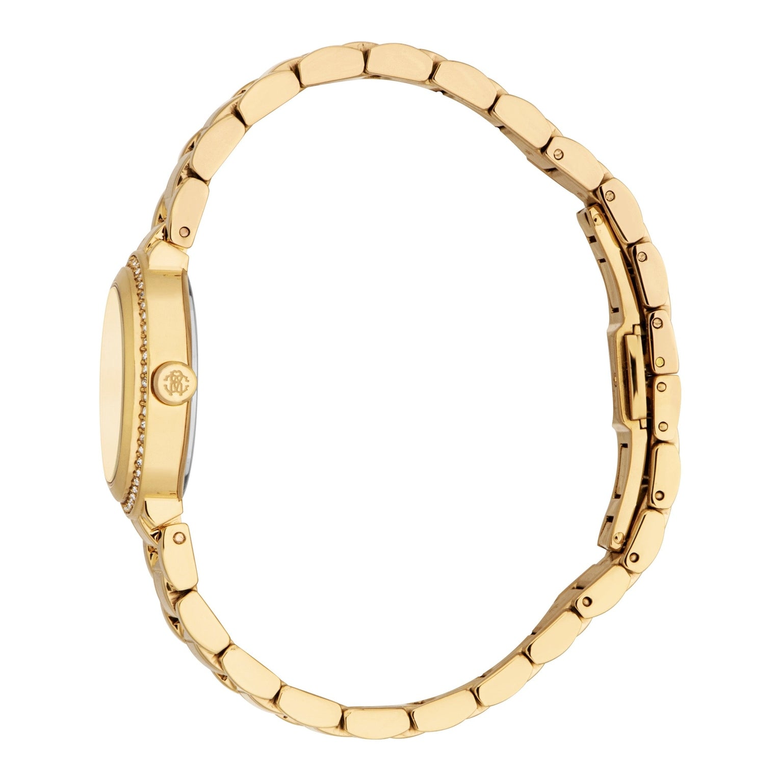 Ladies Graziosa Watch (RC5L123M0065)