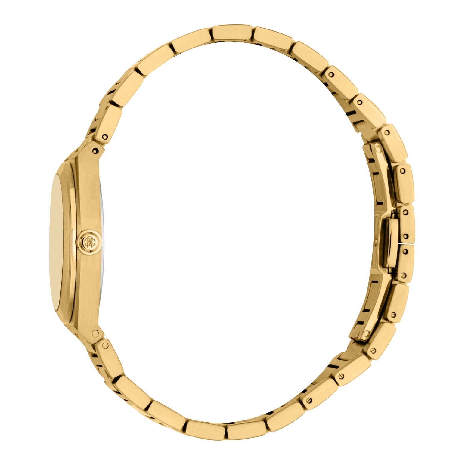 Ladies Speranza Watch (RC5L145M0065)