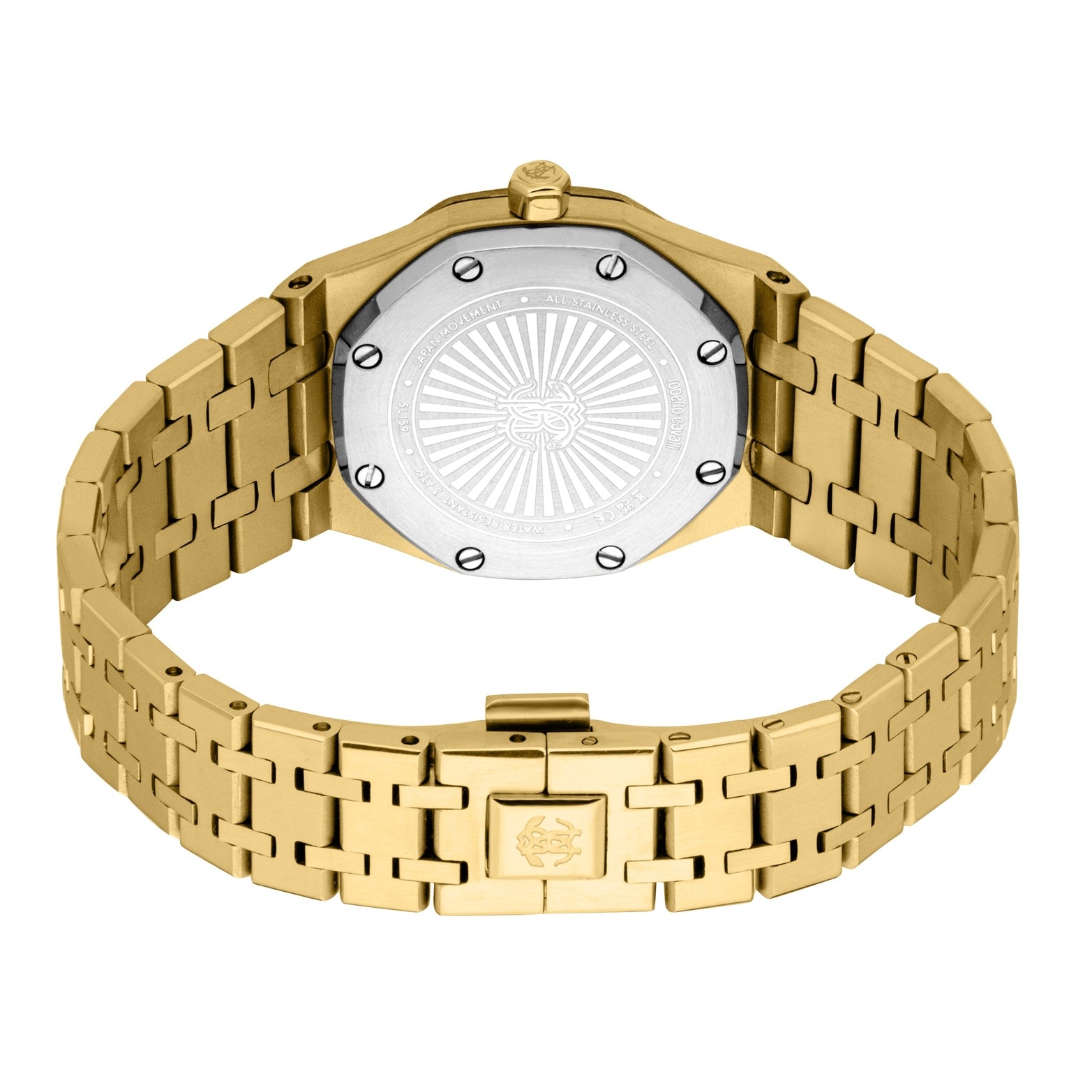 Ladies Astrina Watch (RC5L159M0055)
