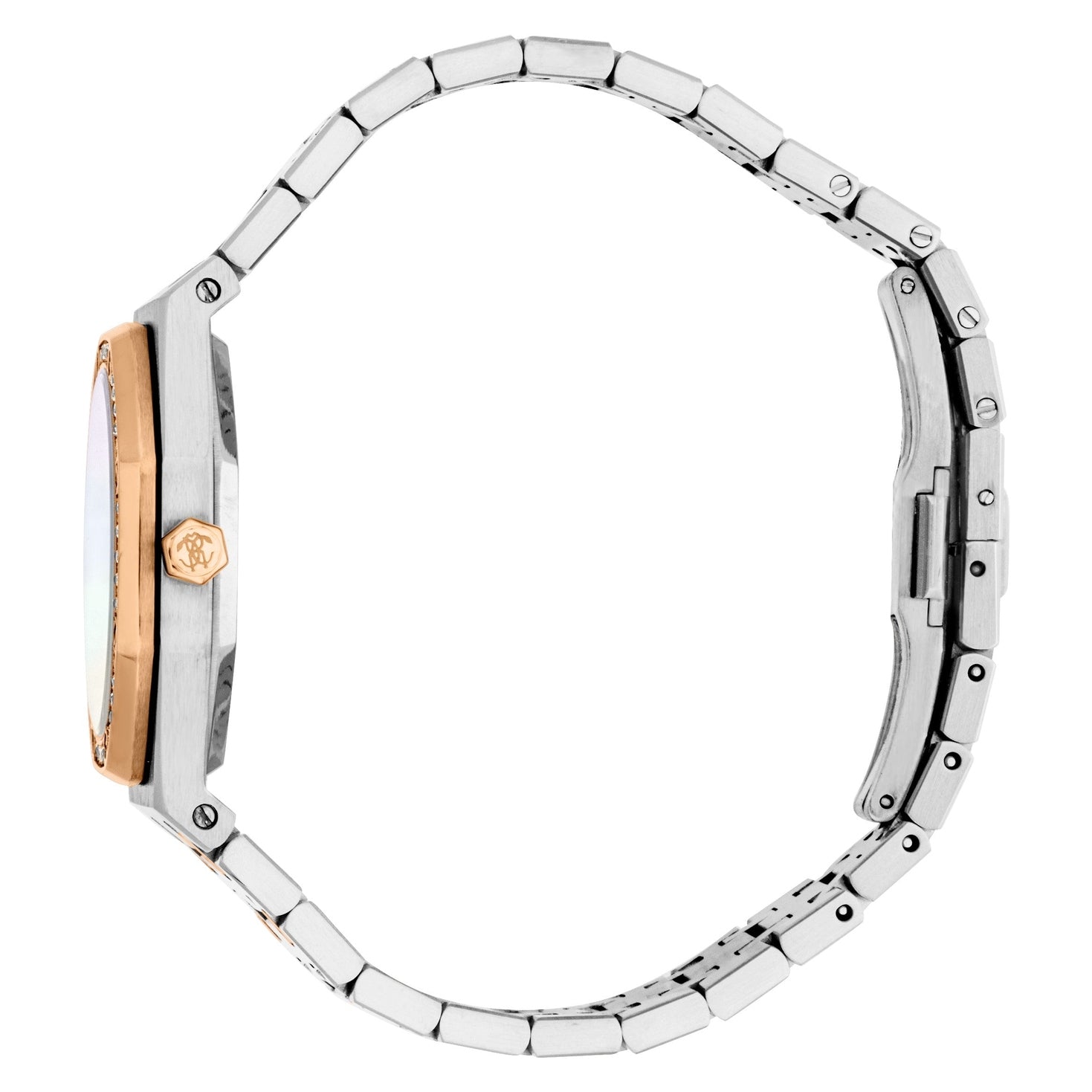 Ladies Astrina Watch (RC5L159M0095)