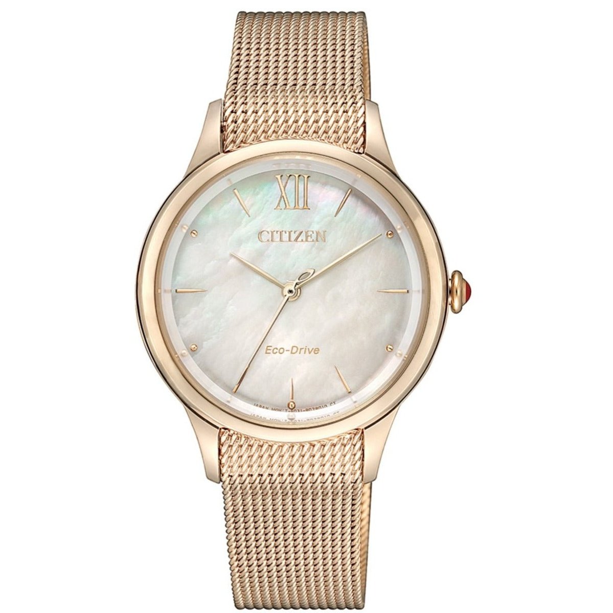 Ladies Eco-Drive Watch EM0813-86Y Citizen