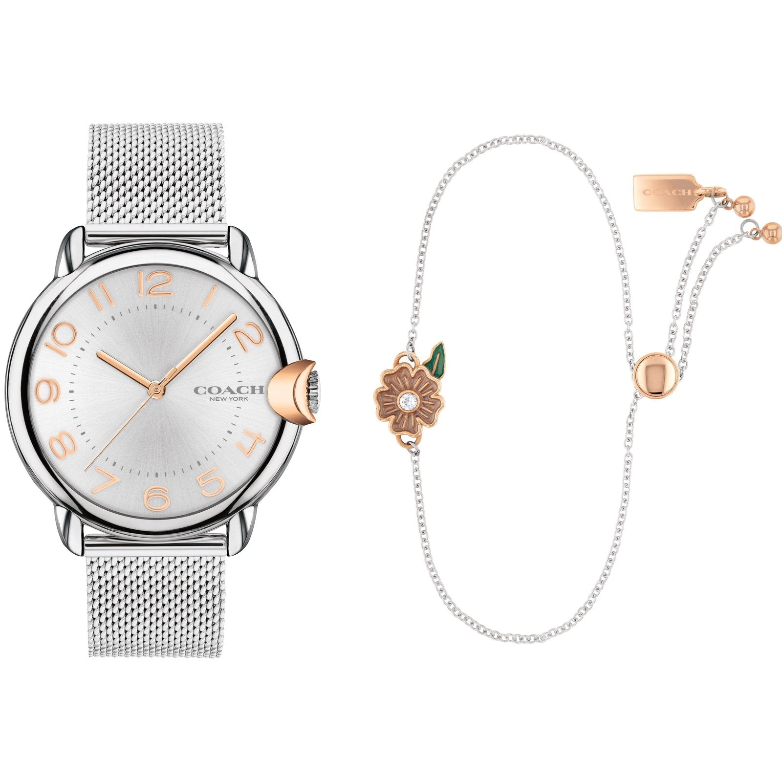 Ladies Arden Set - 36mm Dial 14000072 Coach