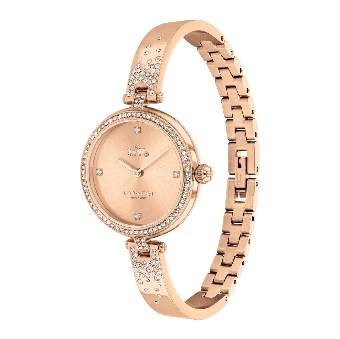 Ladies Park Watch 14503651 Coach