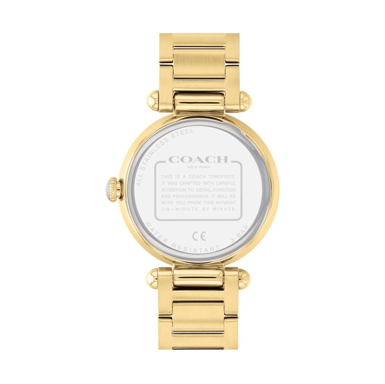 Ladies Cary Watch 14503832 Coach