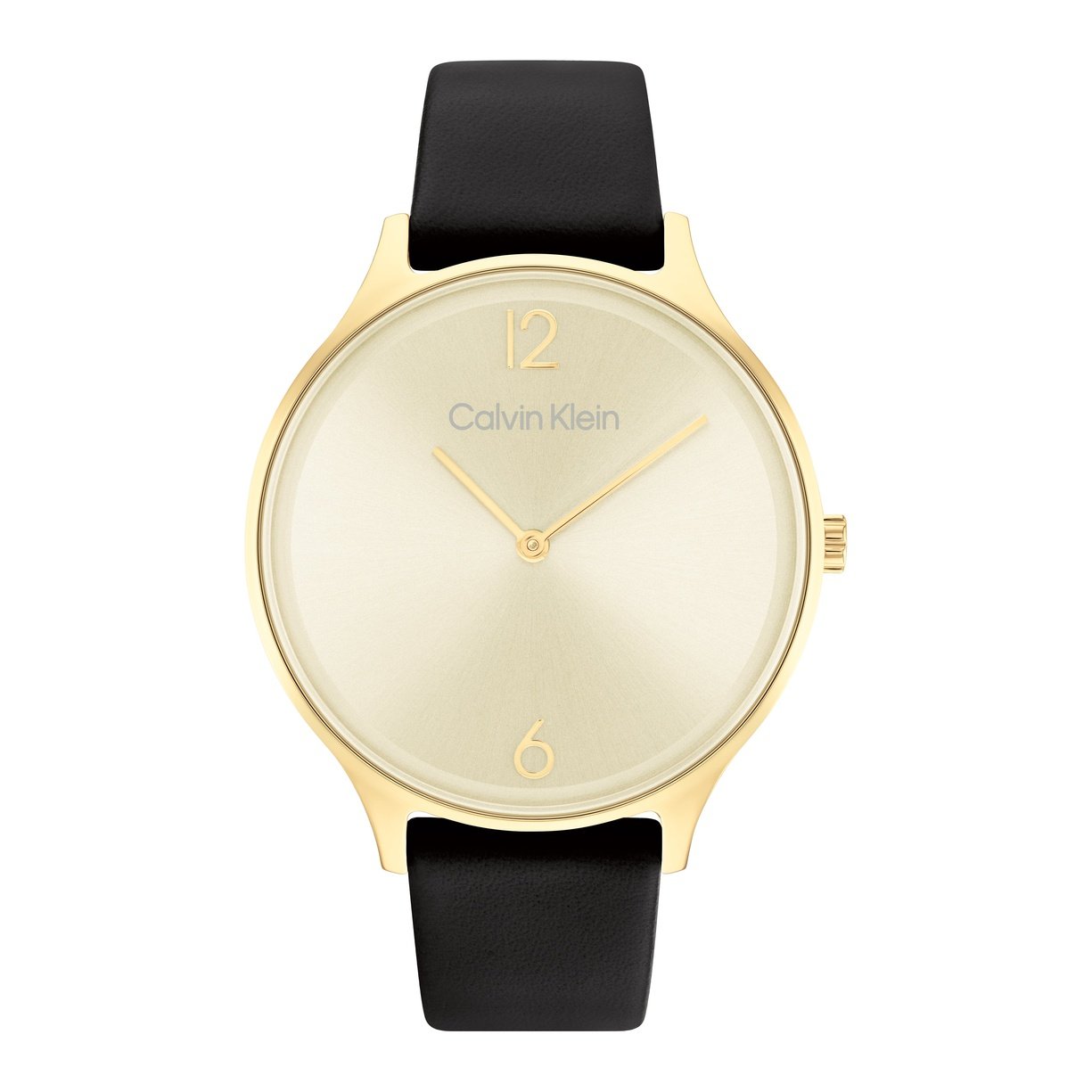 Ladies Timeless 2H Watch 25200008 Calvin Klein