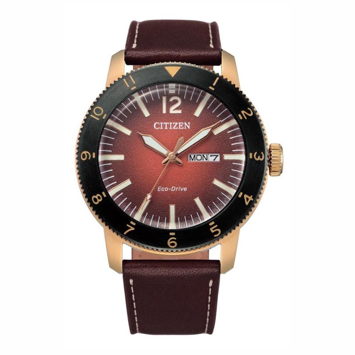 Men's Eco-Drive Watch AW0079-13X Citizen