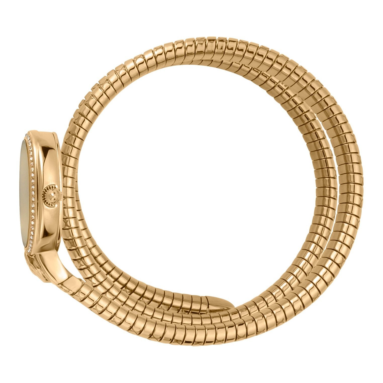 Ladies Graziosa Watch JC1L153M0025 Just Cavalli