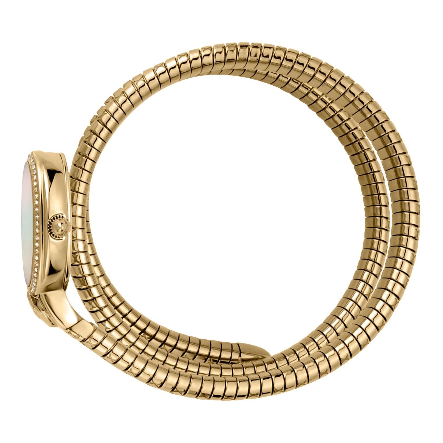 Ladies Graziosa Watch JC1L153M0035 Just Cavalli