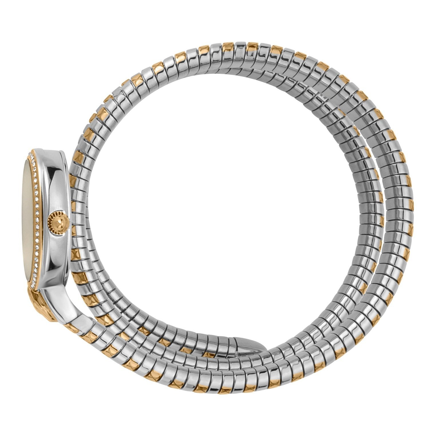 Ladies Graziosa Watch JC1L153M0055 Just Cavalli