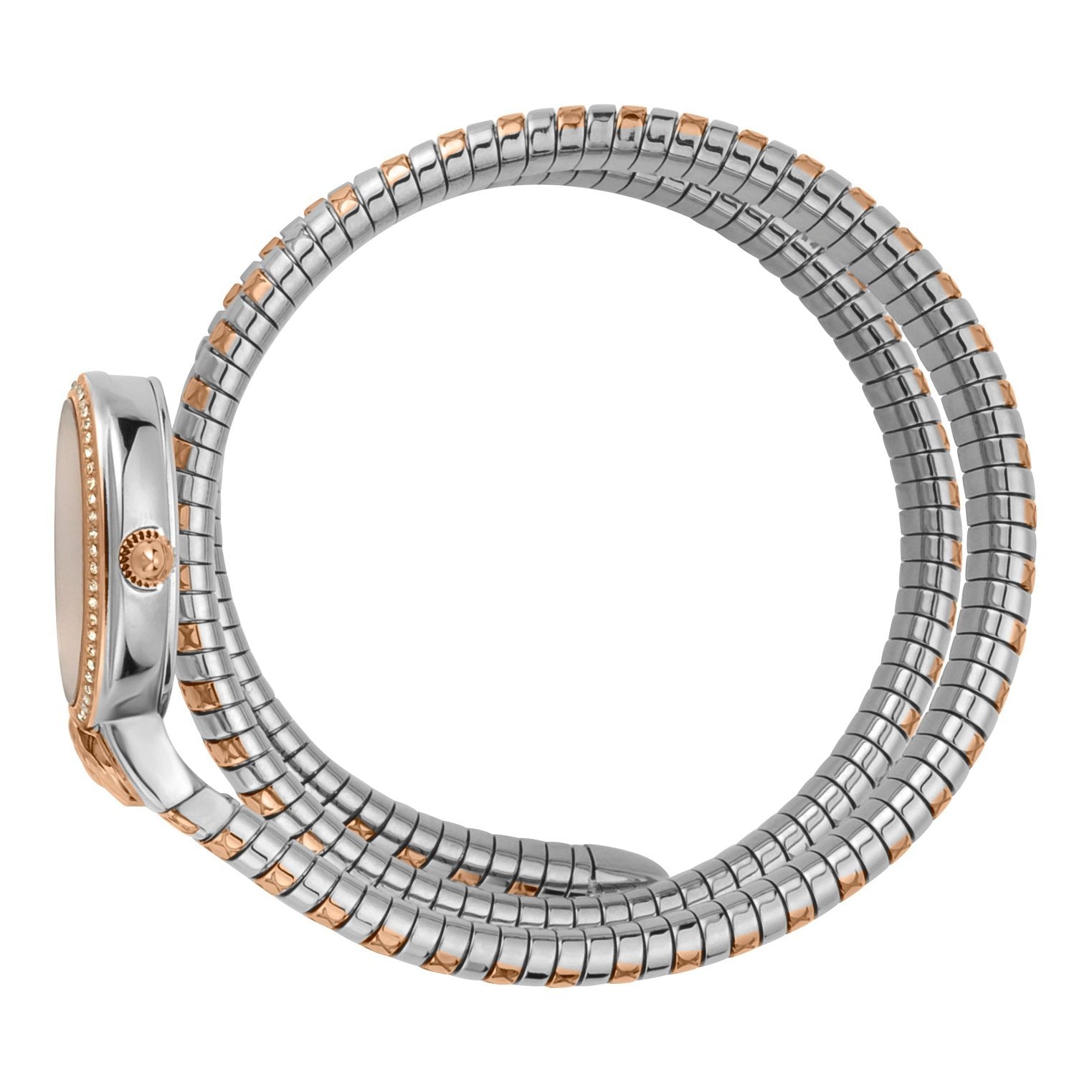 Ladies Graziosa Watch JC1L153M0065 Just Cavalli