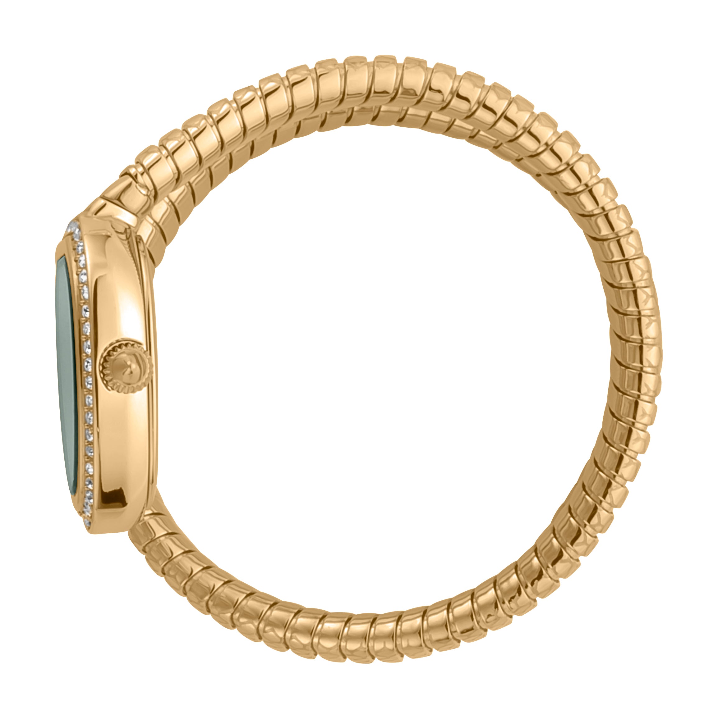 Ladies Jc Solo Watch JC1L167M0025 Just Cavalli