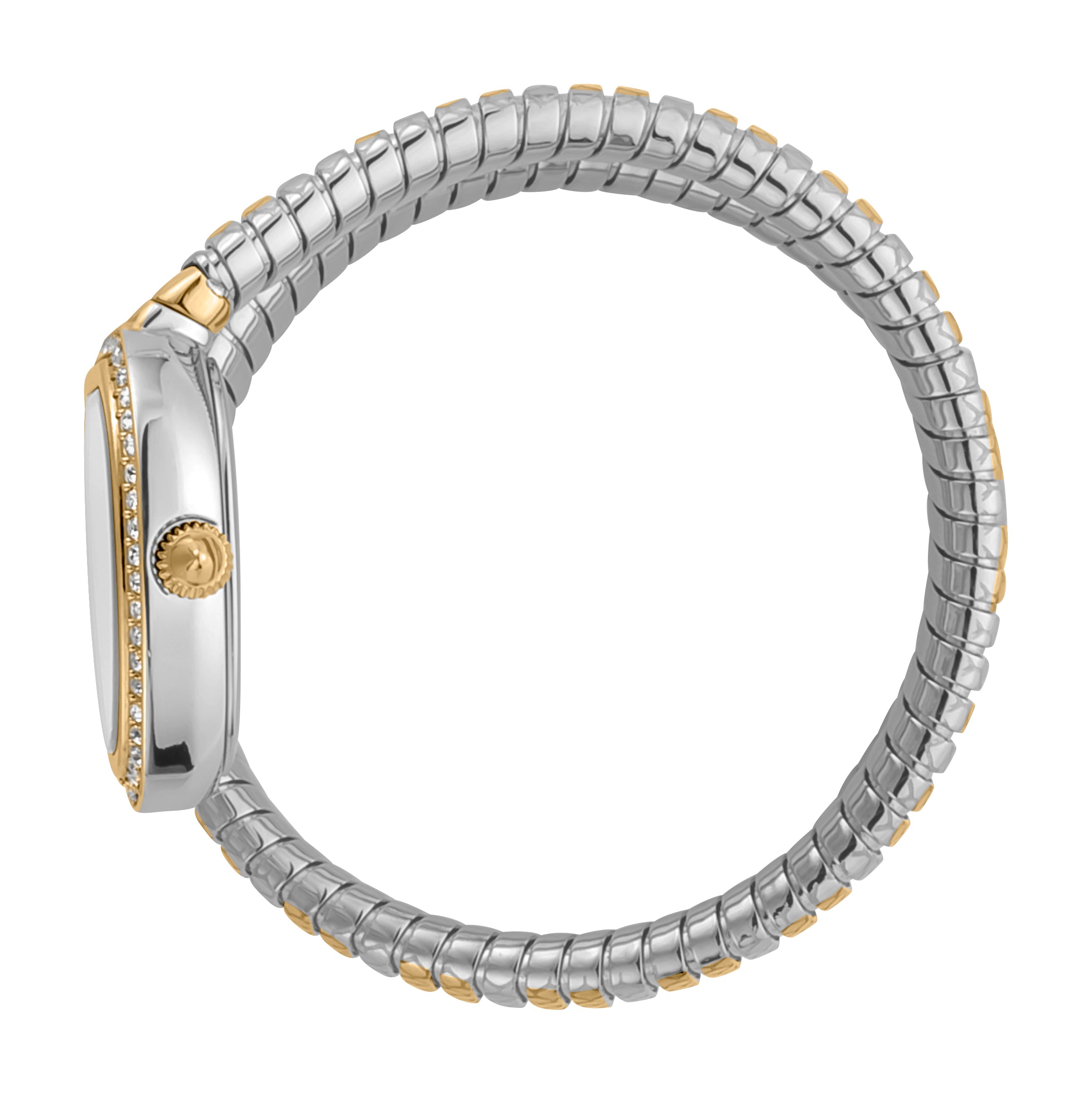 Ladies Jc Solo Watch JC1L167M0055 Just Cavalli