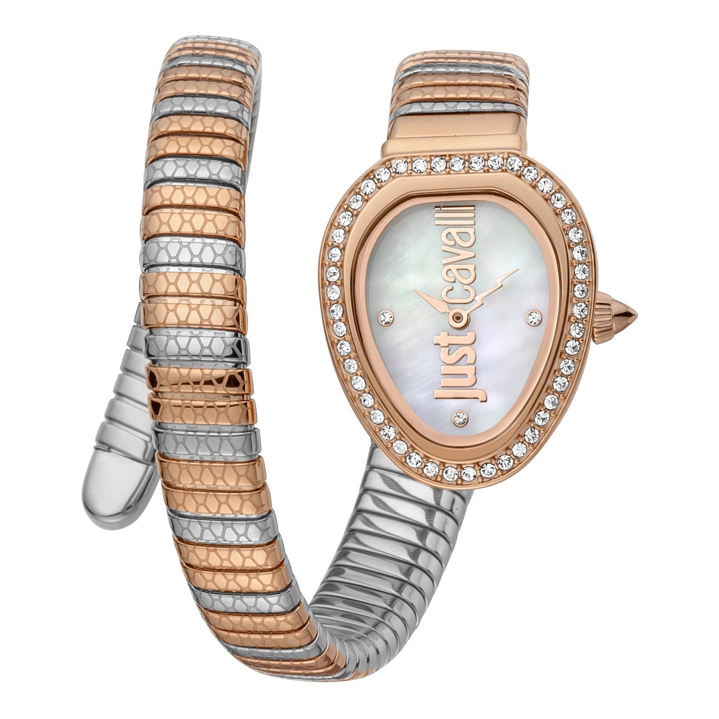 Ladies Jc Solo Watch JC1L167M0065 Just Cavalli
