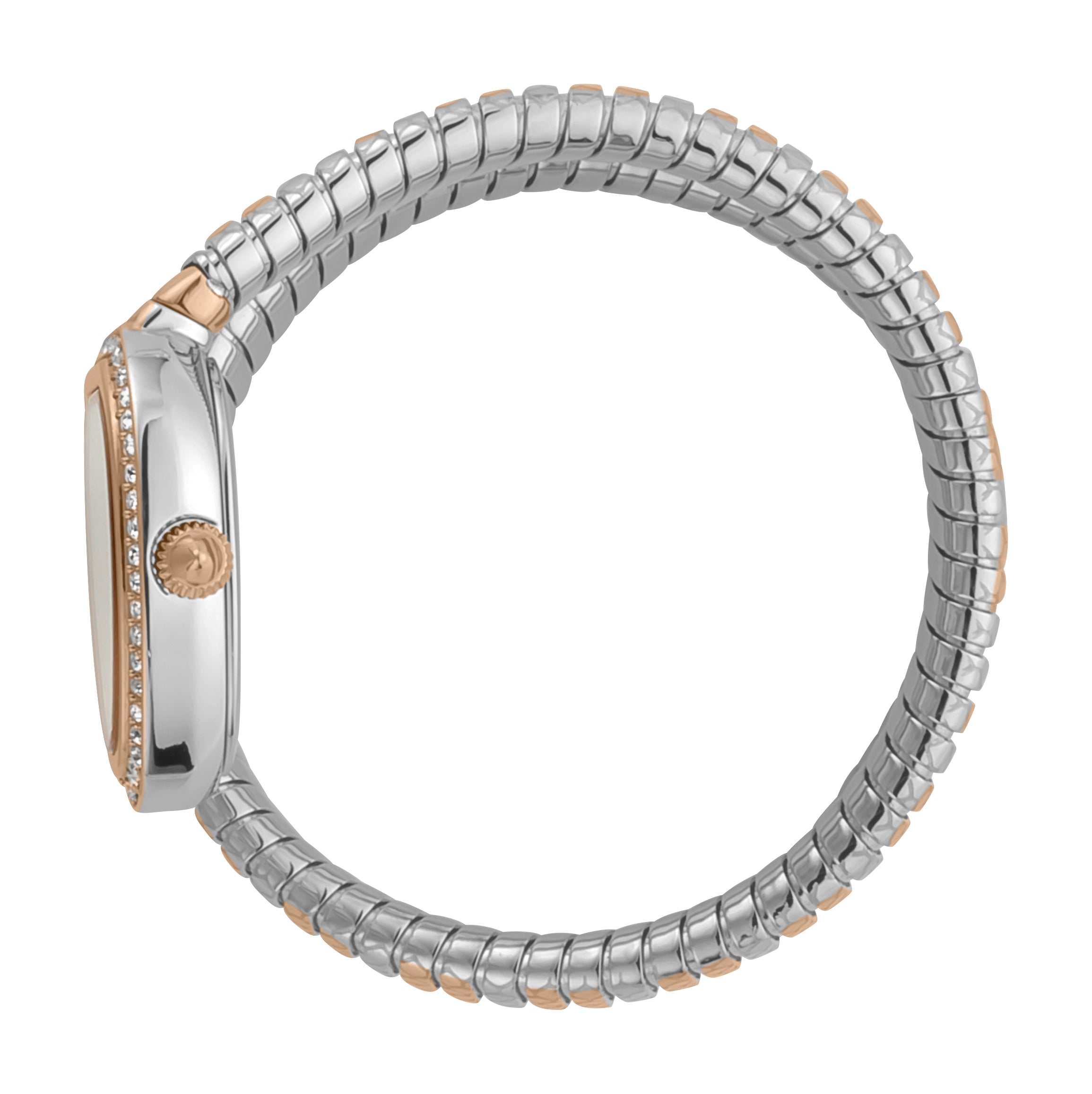 Ladies Jc Solo Watch JC1L167M0065 Just Cavalli