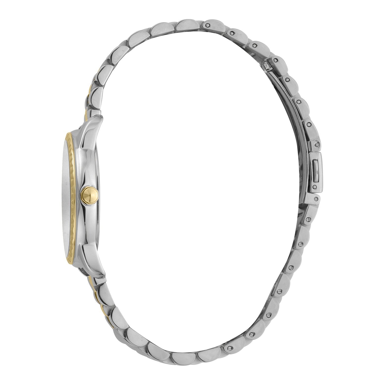 Ladies Regali Watch JC1L176M0085 Just Cavalli