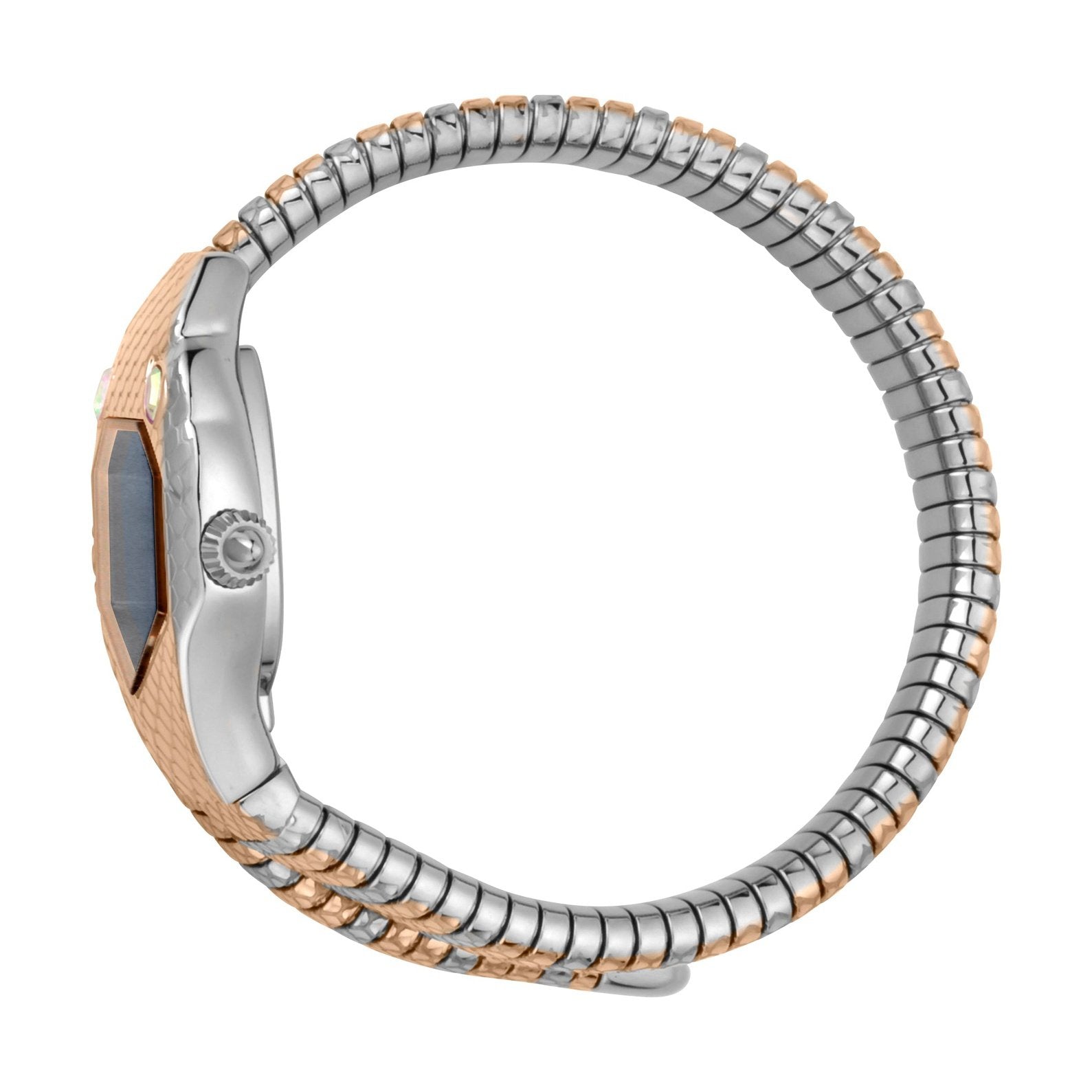 Ladies Serpente Solo Watch JC1L177M0085 Just Cavalli