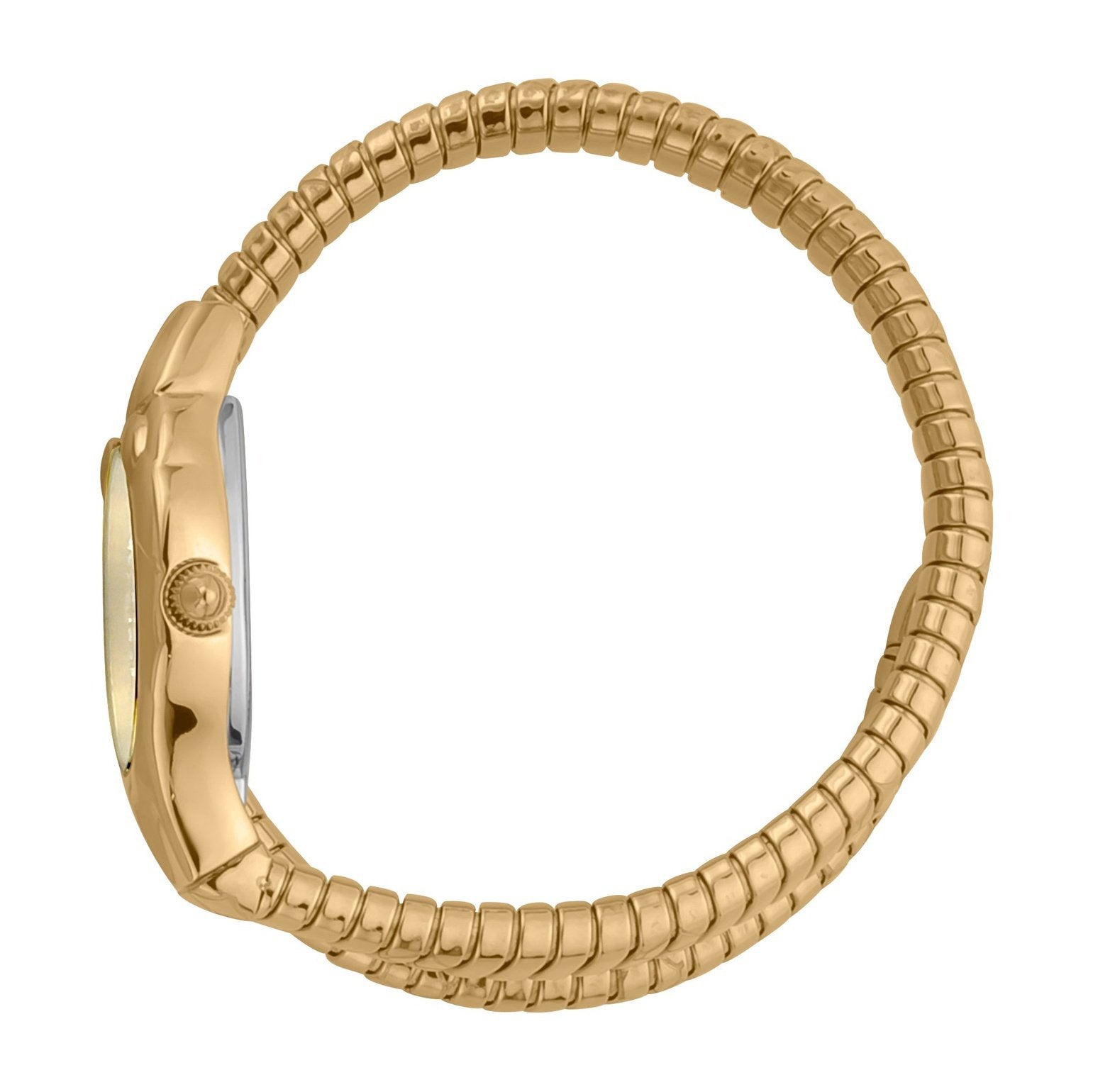 Ladies Serpente Corto Watch JC1L186M0025 Just Cavalli