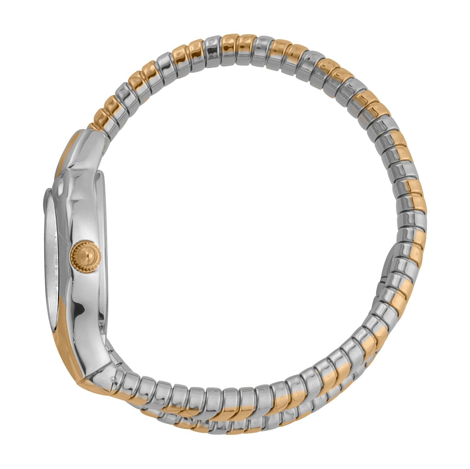 Ladies Serpente Corto Watch JC1L186M0055 Just Cavalli