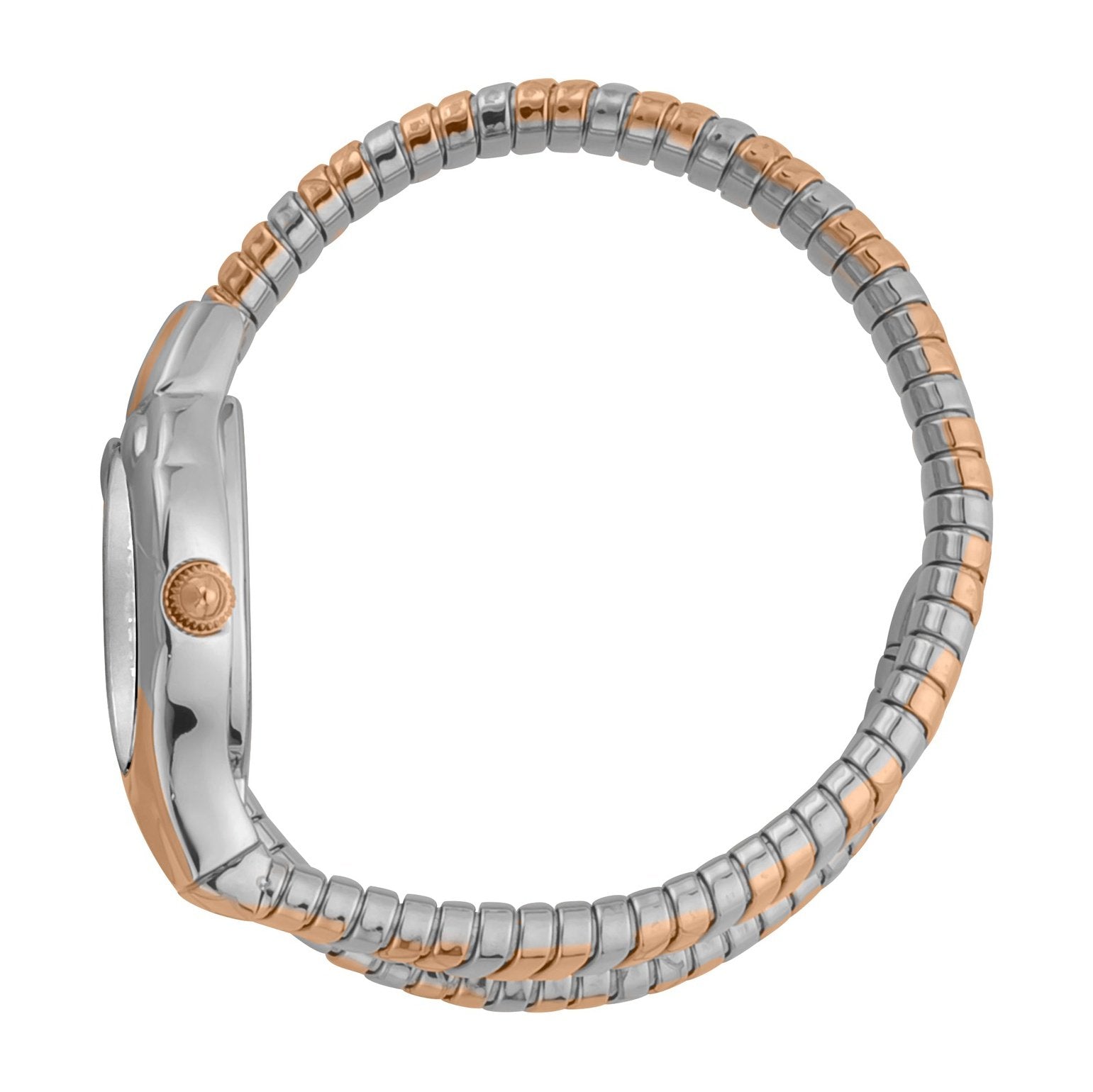 Ladies Serpente Corto Watch JC1L186M0065 Just Cavalli