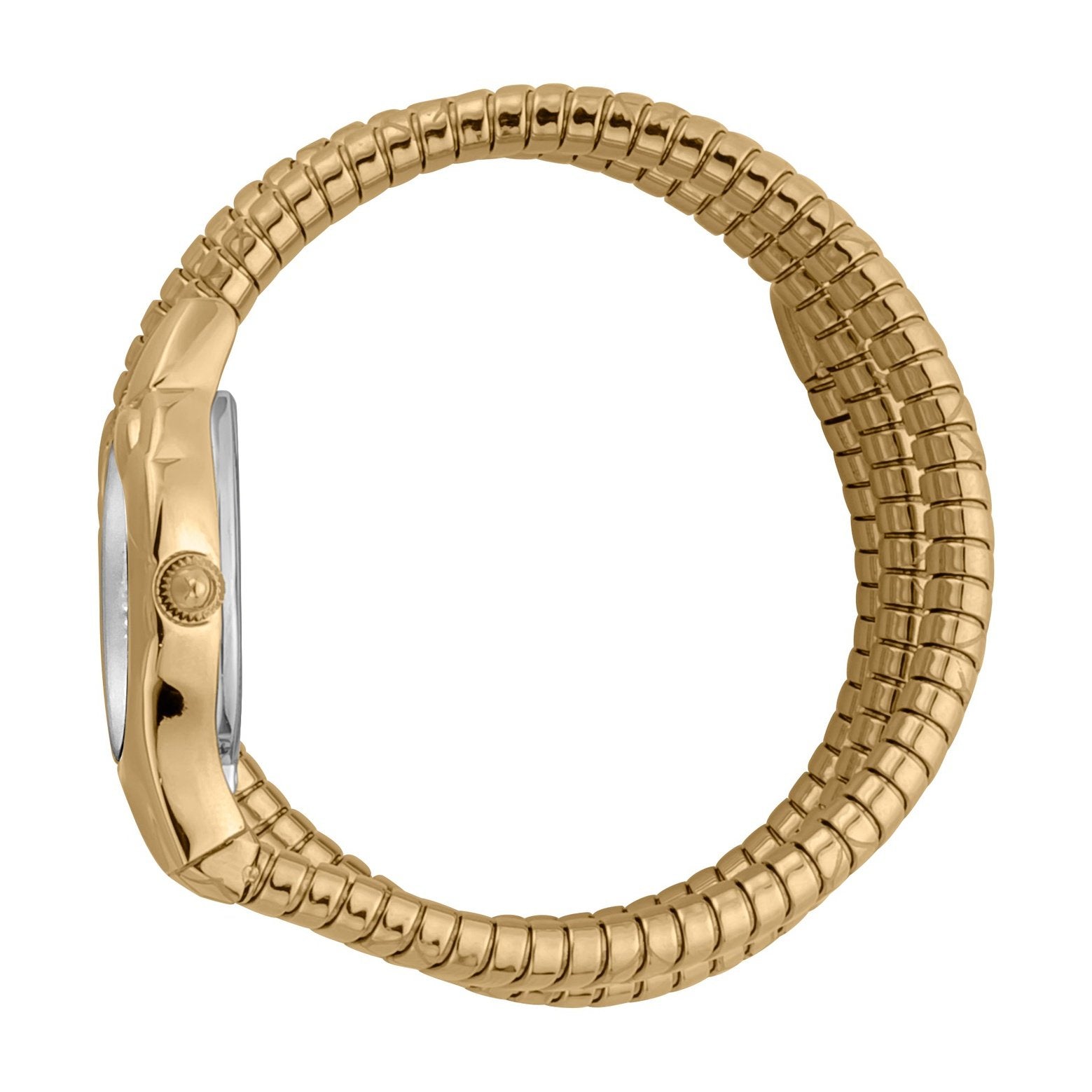 Ladies Serpente Lungo Watch JC1L189M0035 Just Cavalli