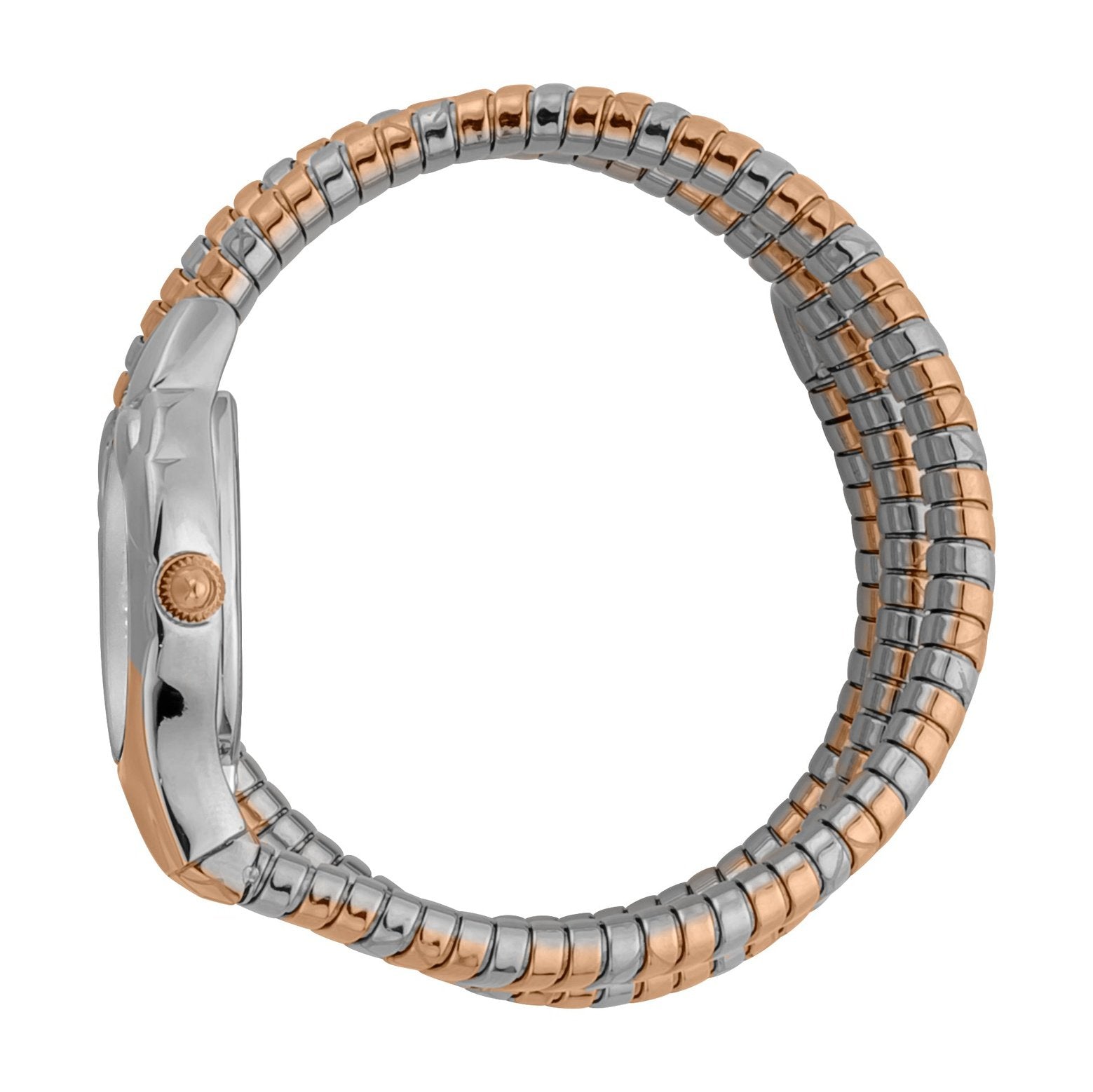 Ladies Serpente Lungo Watch JC1L189M0085 Just Cavalli