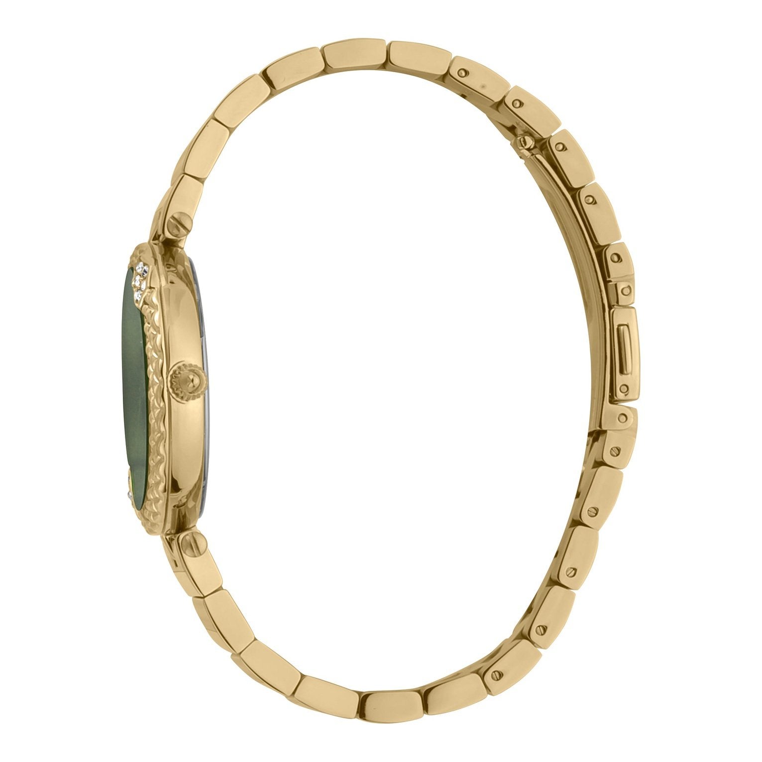 Ladies Nobile Watch JC1L197M0075 Just Cavalli